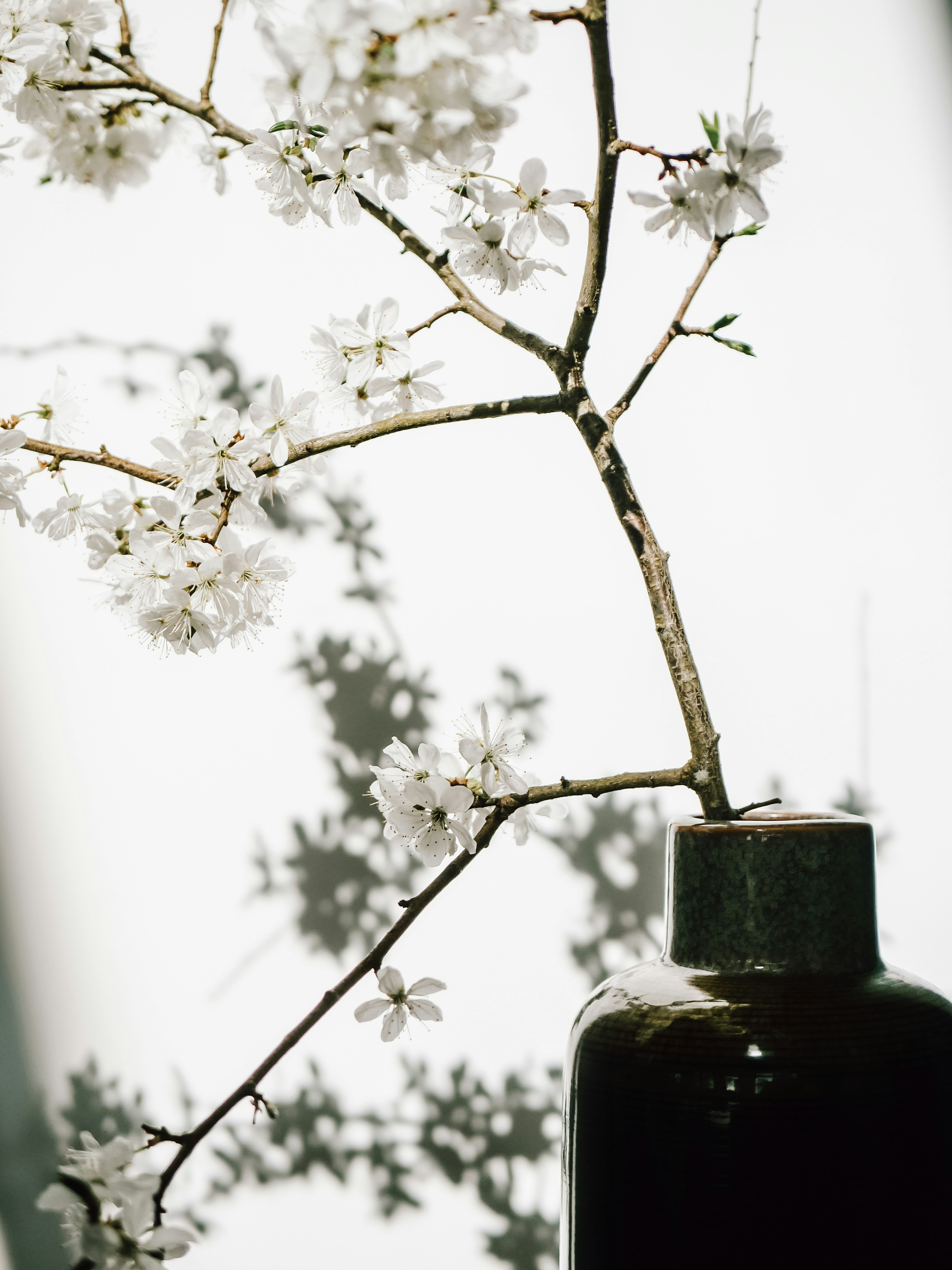 Photo by paulinaherpel