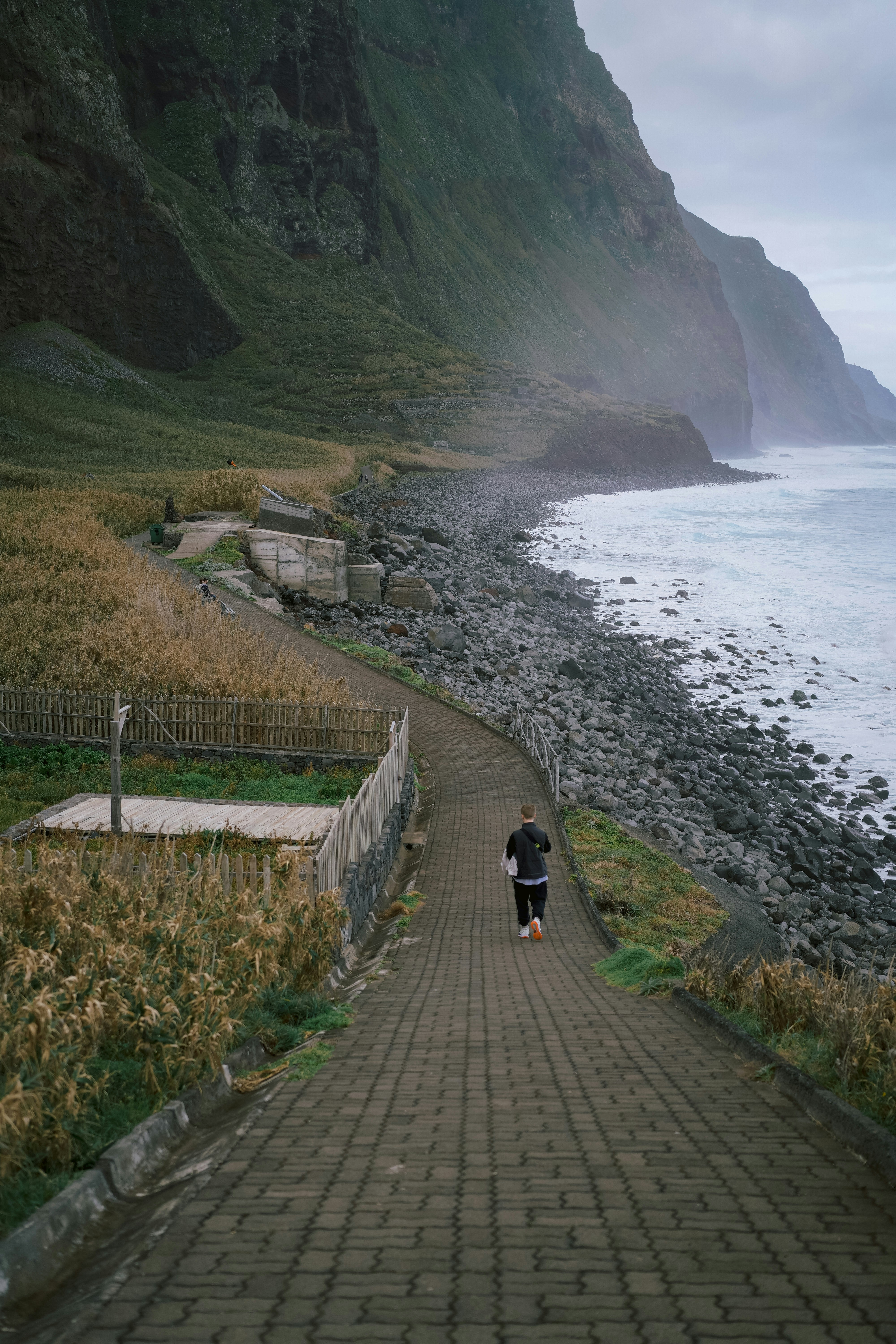 a person walking down a path near the ocean