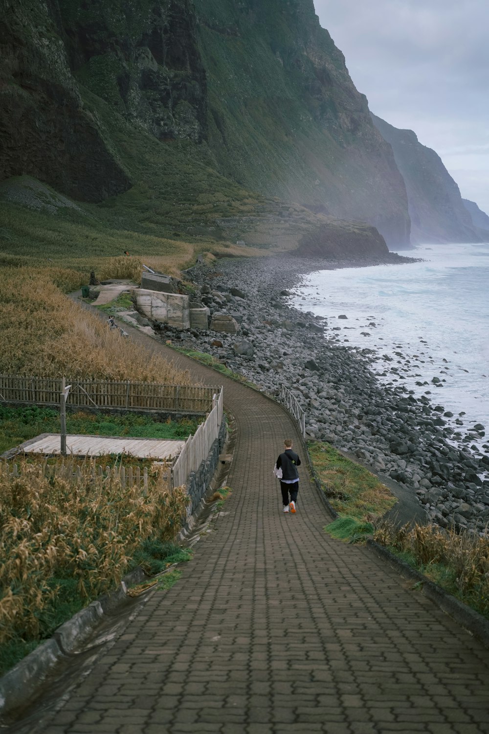 a person walking down a path near the ocean