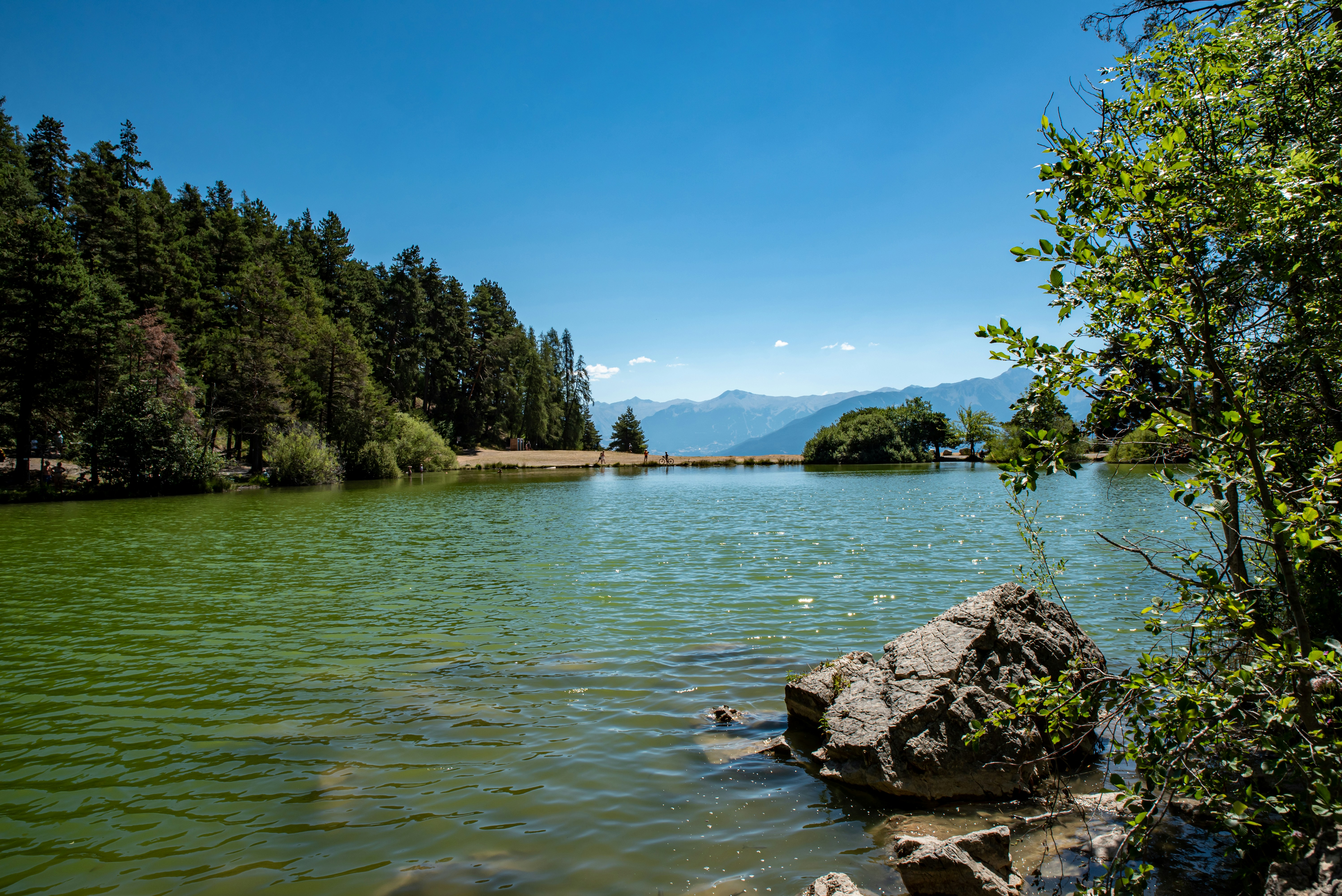 Photo by sylviephoto