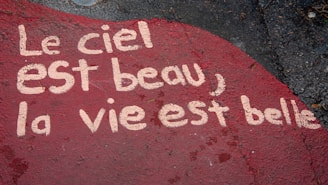 a red rock with a message written on it