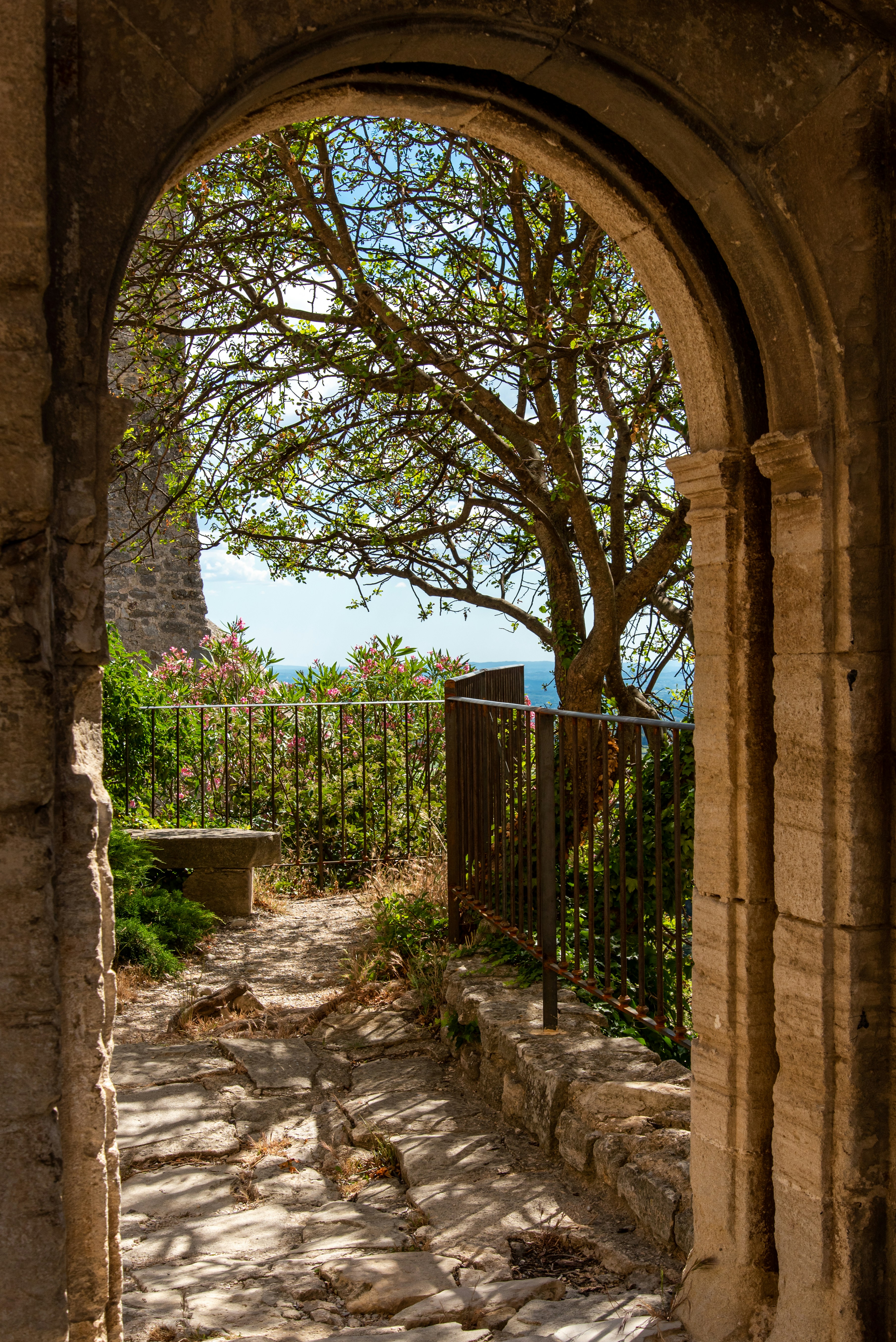 Photo by sylviephoto