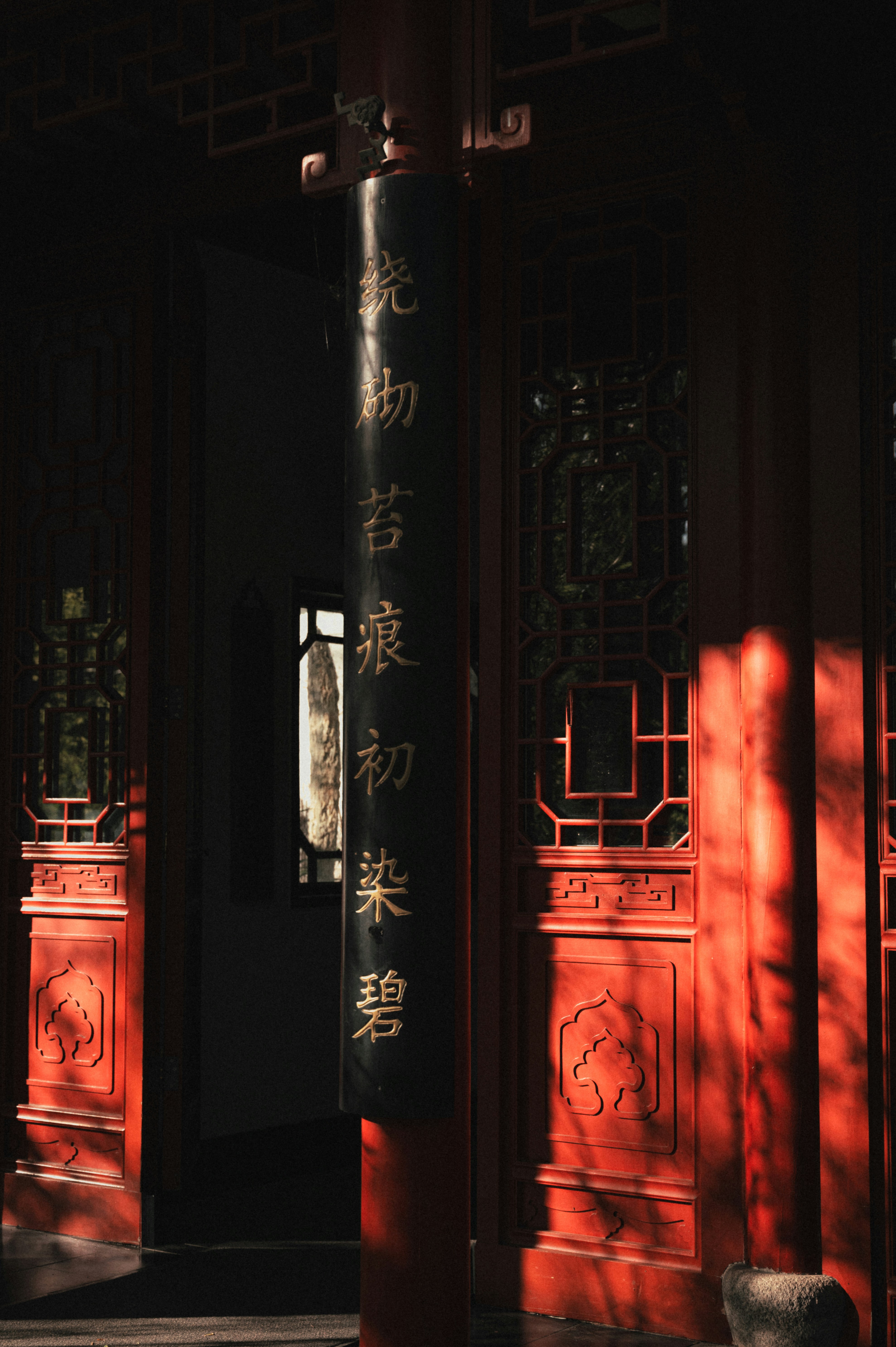 Photo by luca_severin