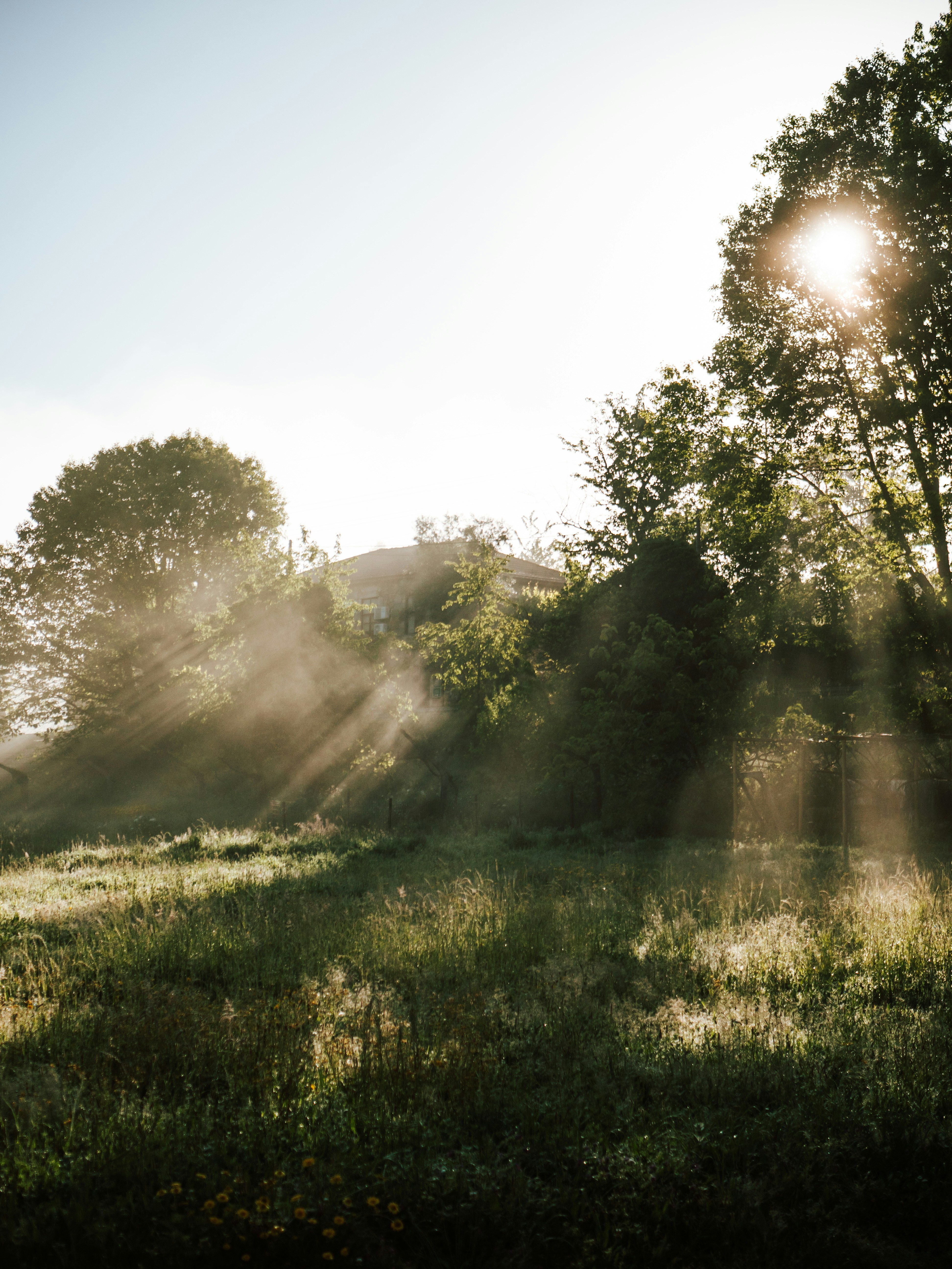 Photo by paulinaherpel