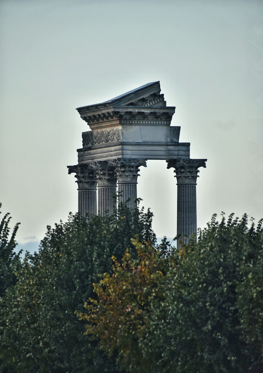 a clock tower in the middle of a forest