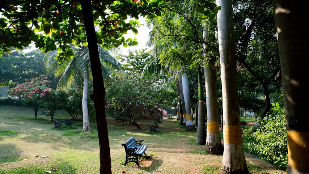 a park bench sitting in the middle of a lush green park