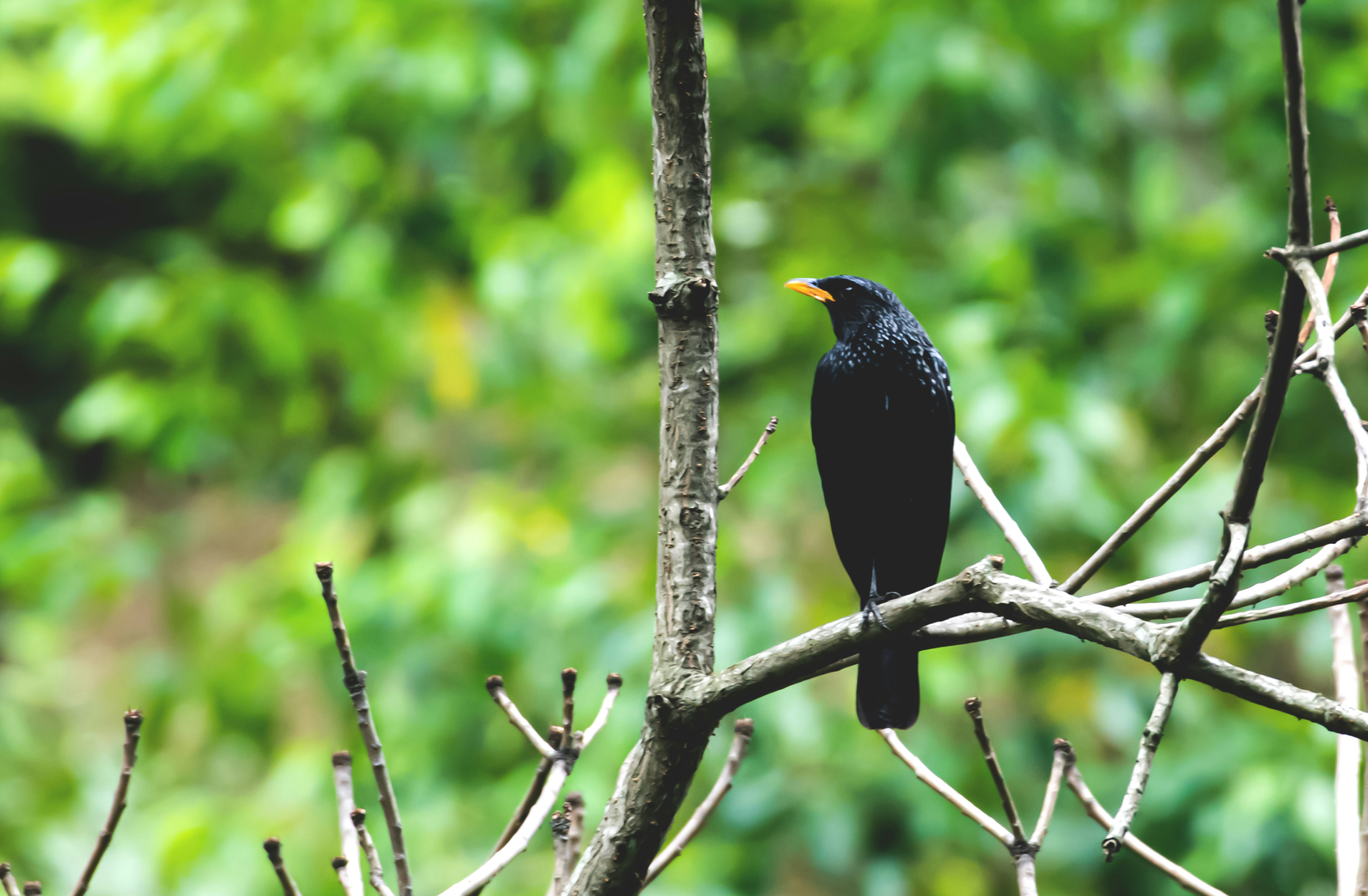 Photo by mhphotography13