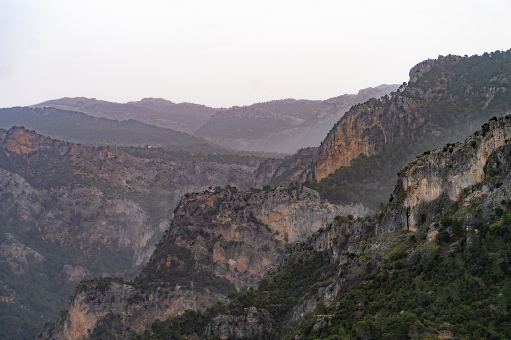 Una veduta di una catena montuosa con alberi e montagne sullo sfondo