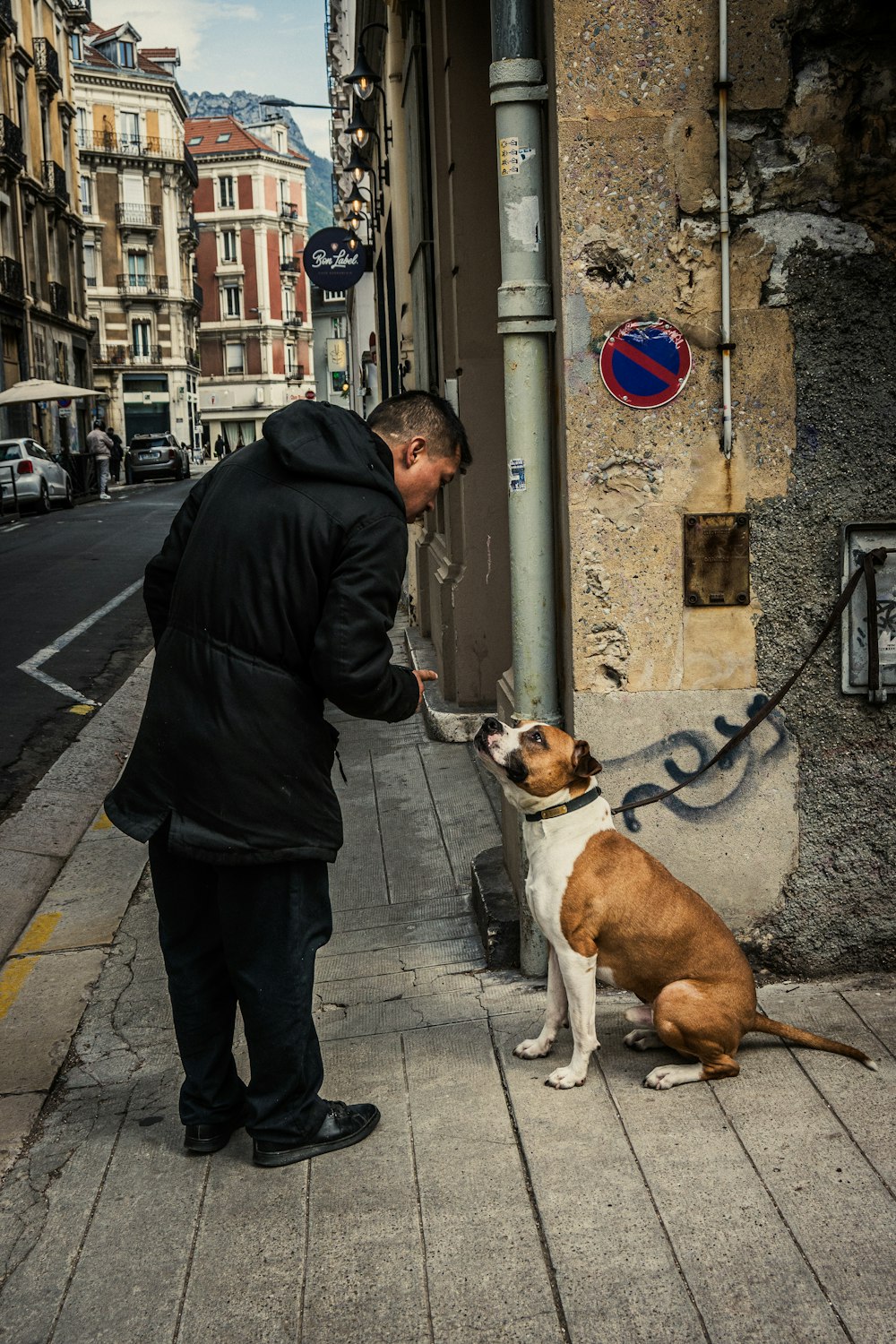 a man standing next to a brown and white dog