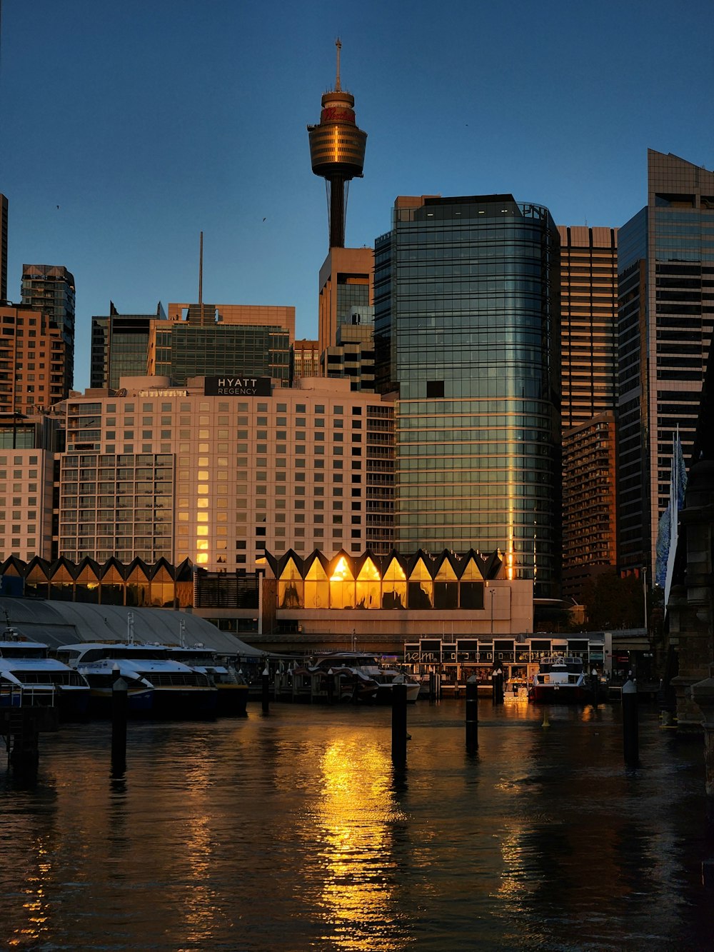 a view of a city at night from the water