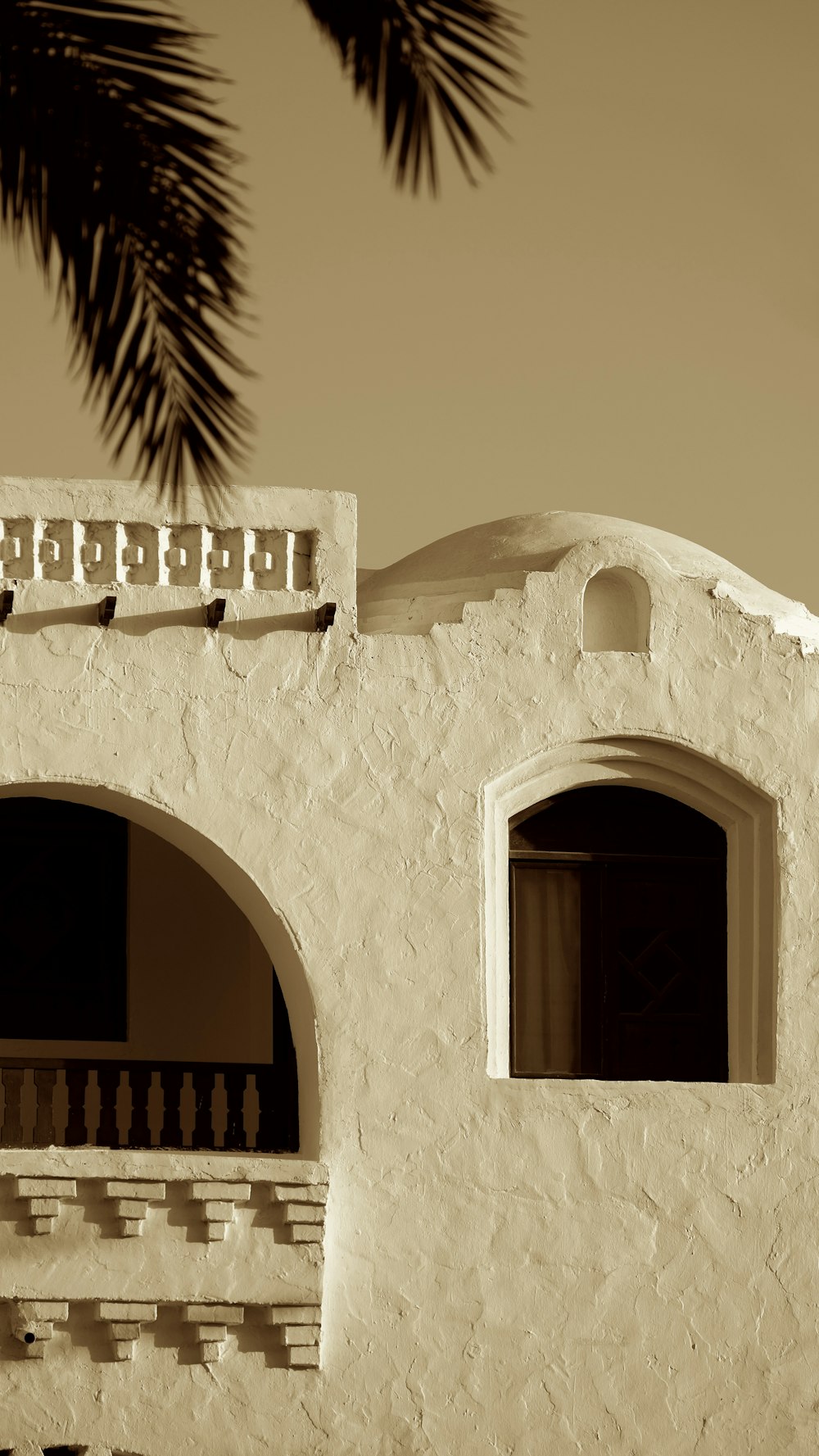 ein weißes Gebäude mit zwei Fenstern und einer Palme