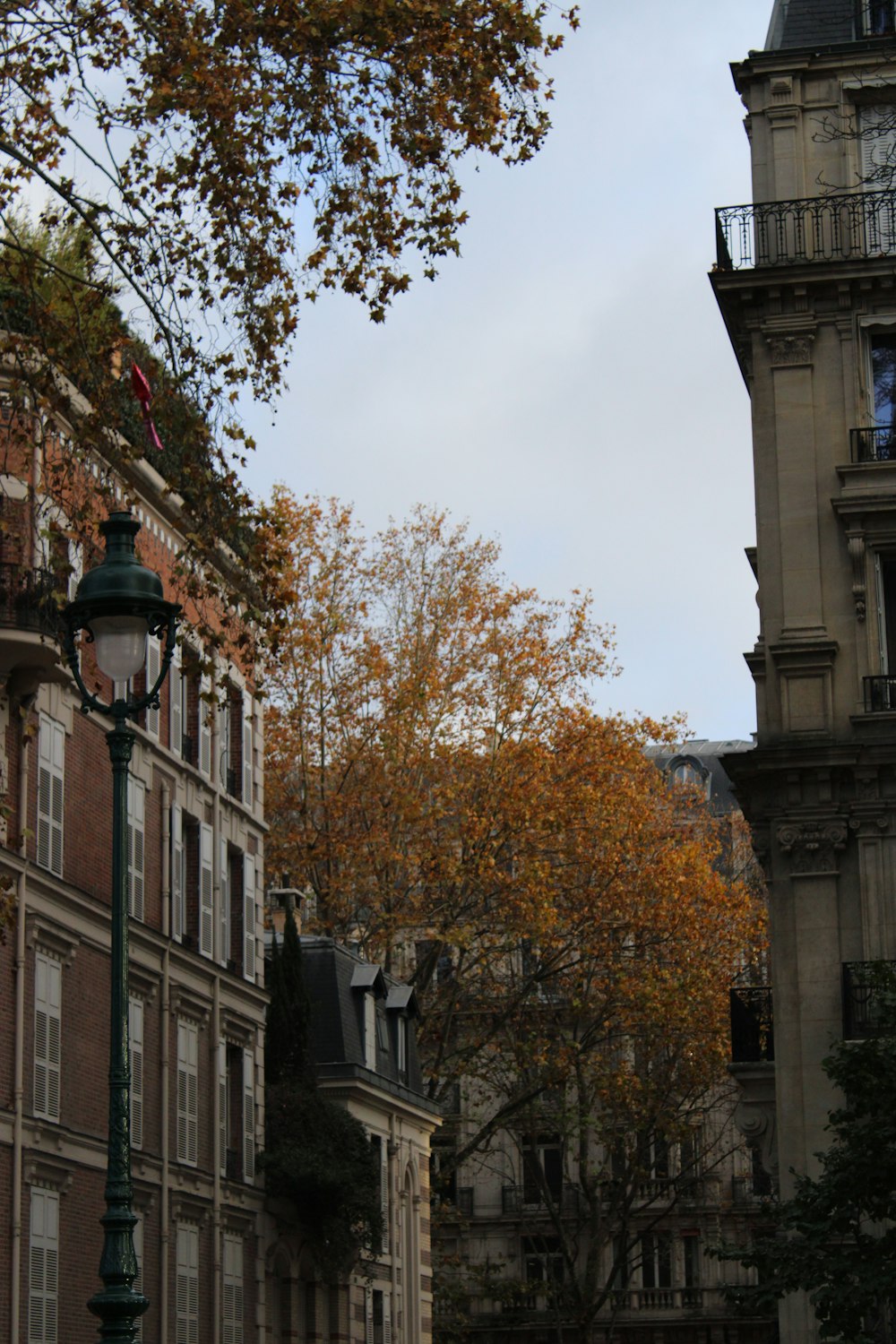 a street light sitting next to a tall building