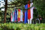 a bunch of flags that are in the grass