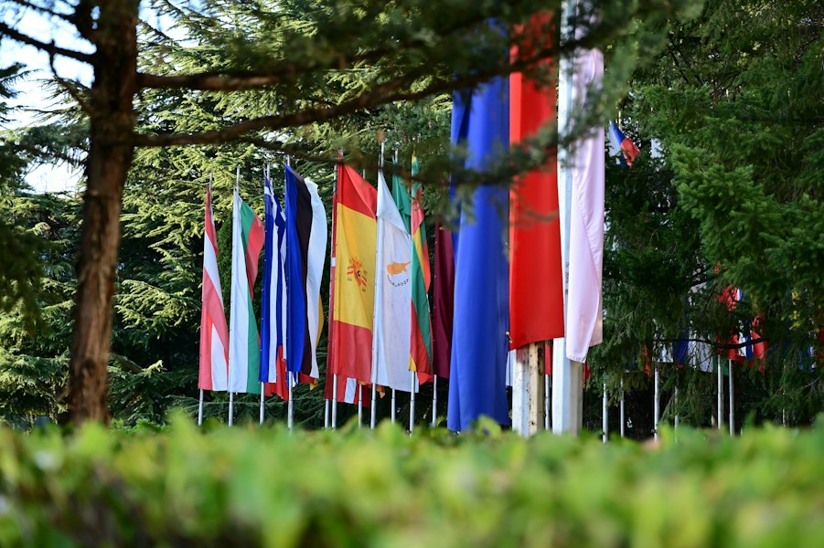 Flags With a Red Cross: 5 National Flags That Use the Cross