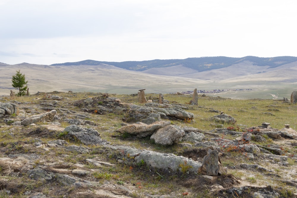 a grassy field with rocks and plants in the foreground and mountains in the background