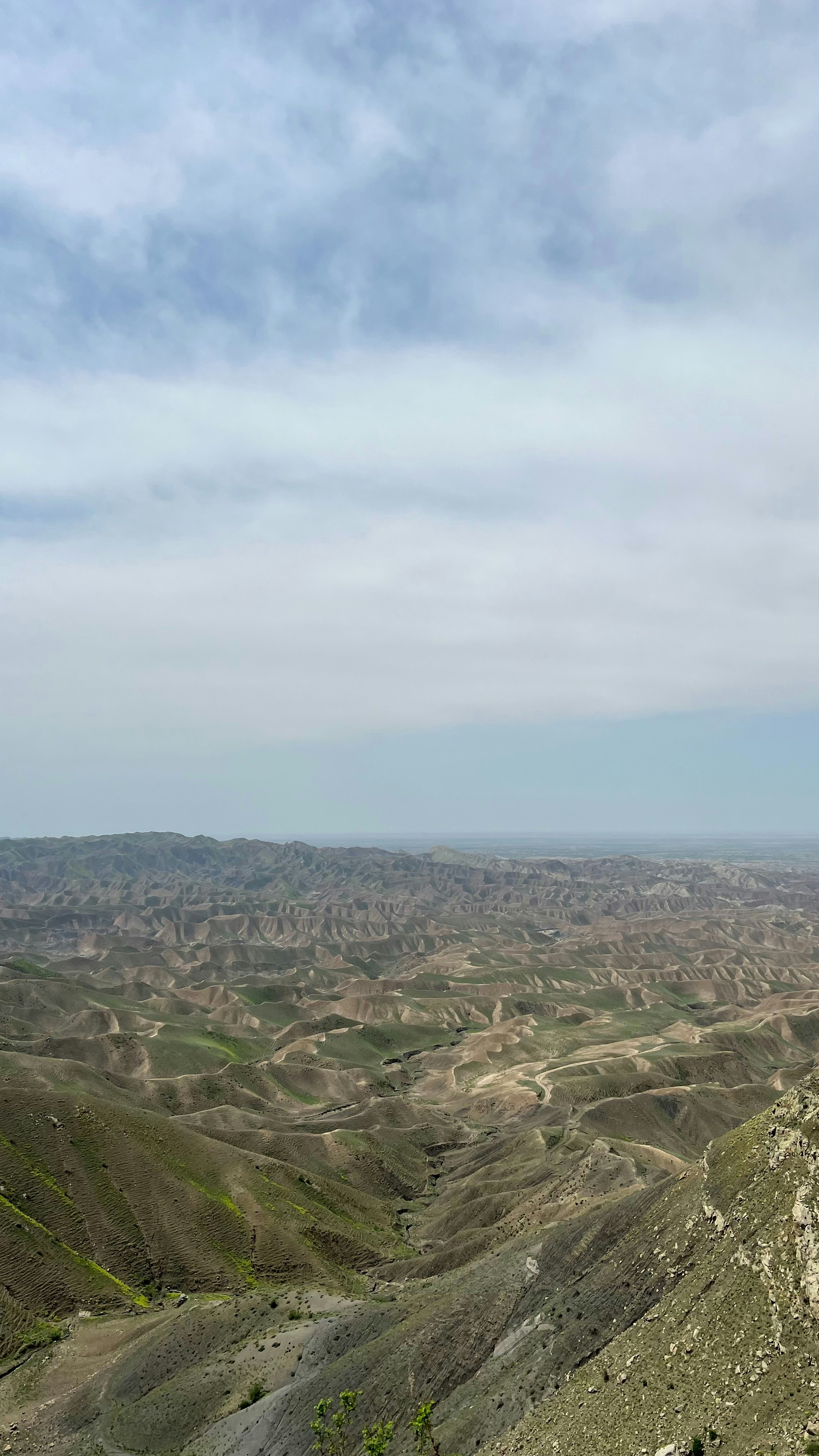 Photo by faezeh_eslami