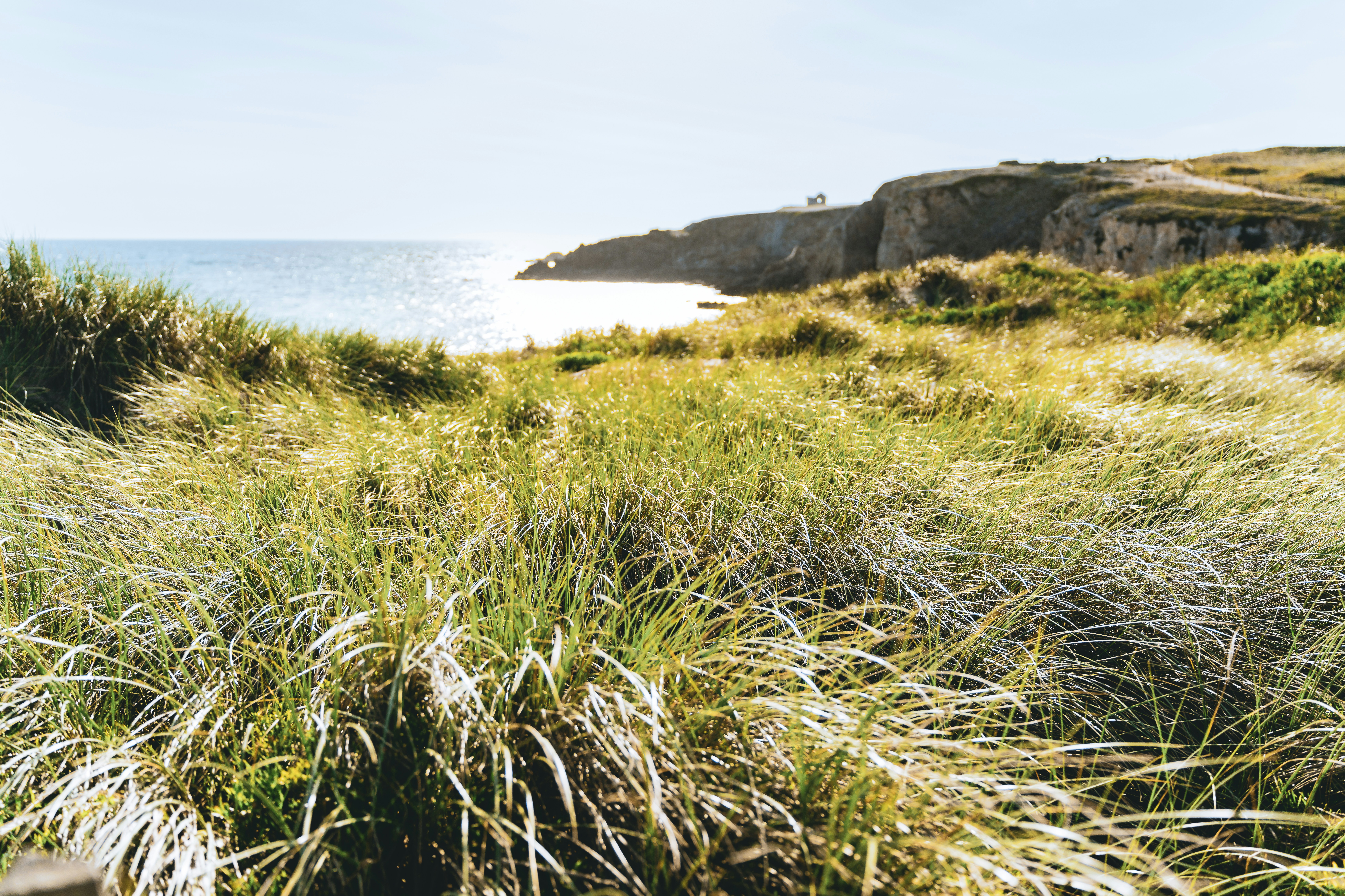 Photo by the_french_quentin