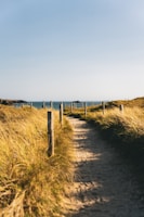 a path leading to the ocean on a sunny day
