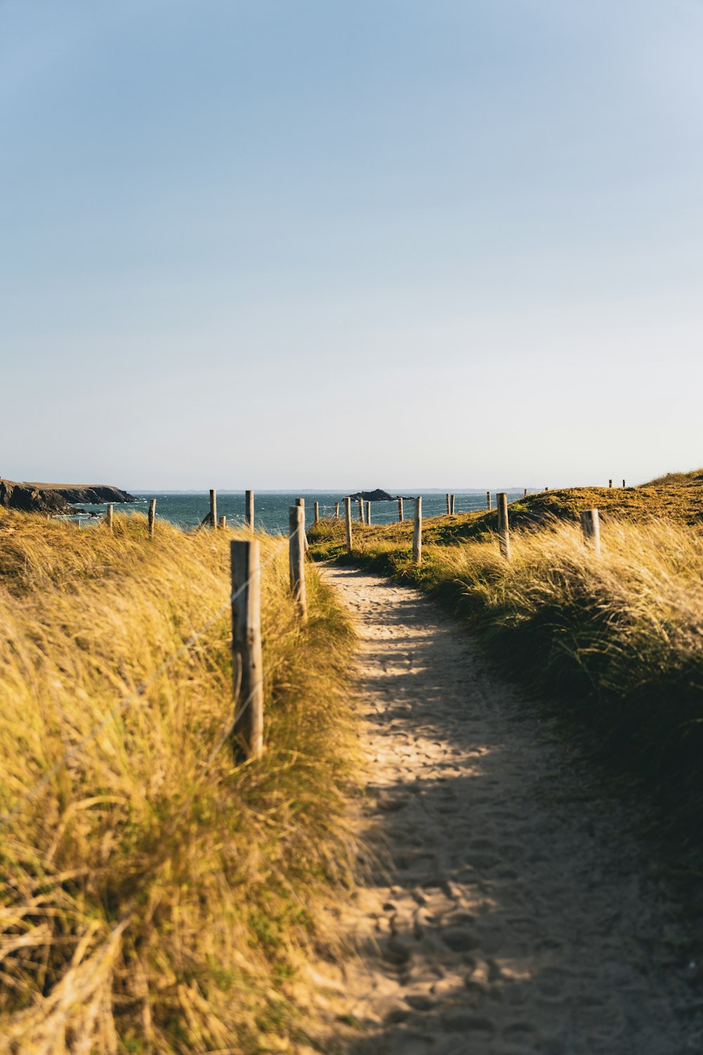 a path leading to the ocean on a sunny day