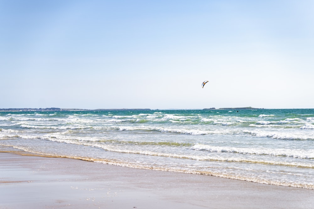 a person flying a kite on the beach