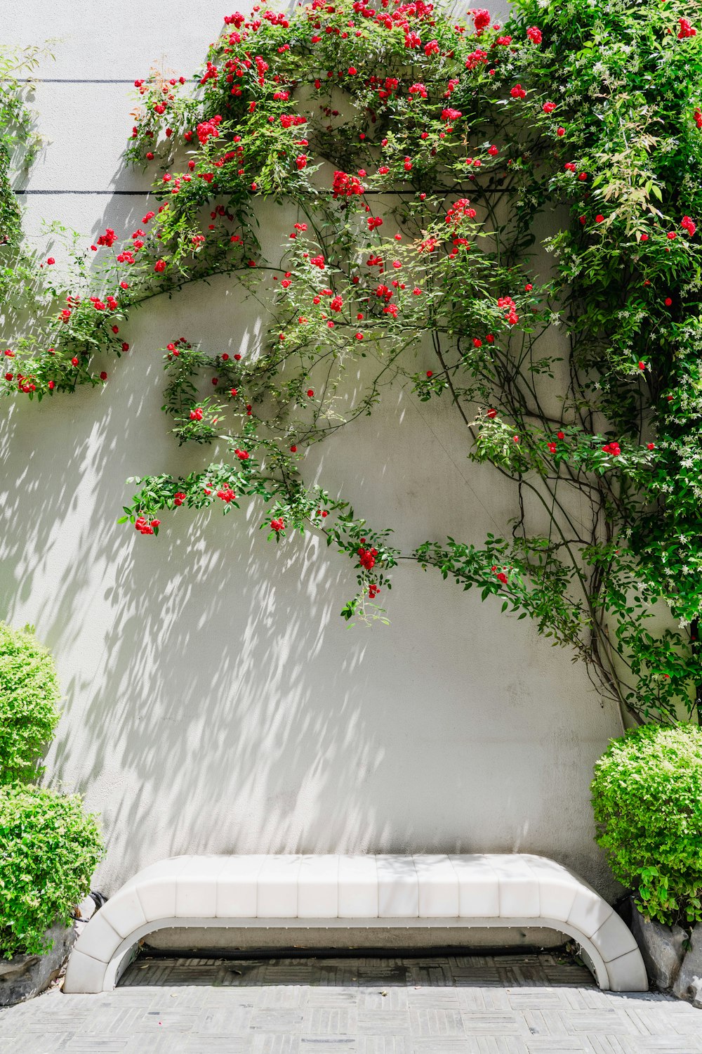 a white bench sitting in front of a white wall