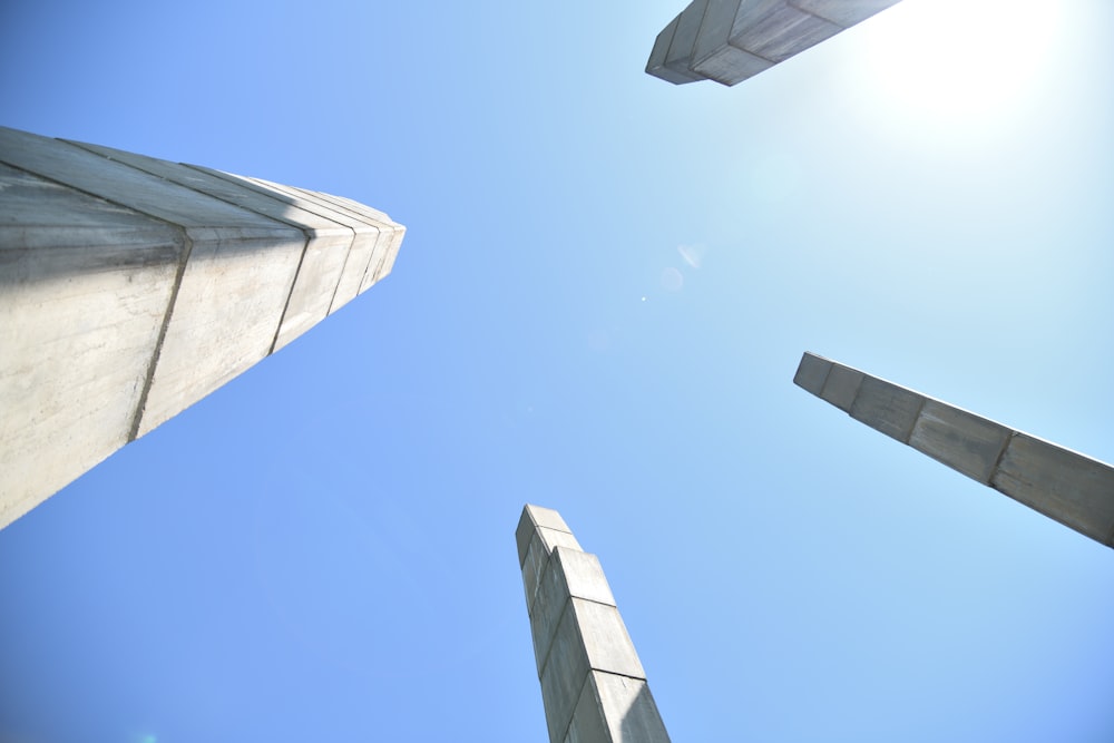 looking up at the sky from the ground