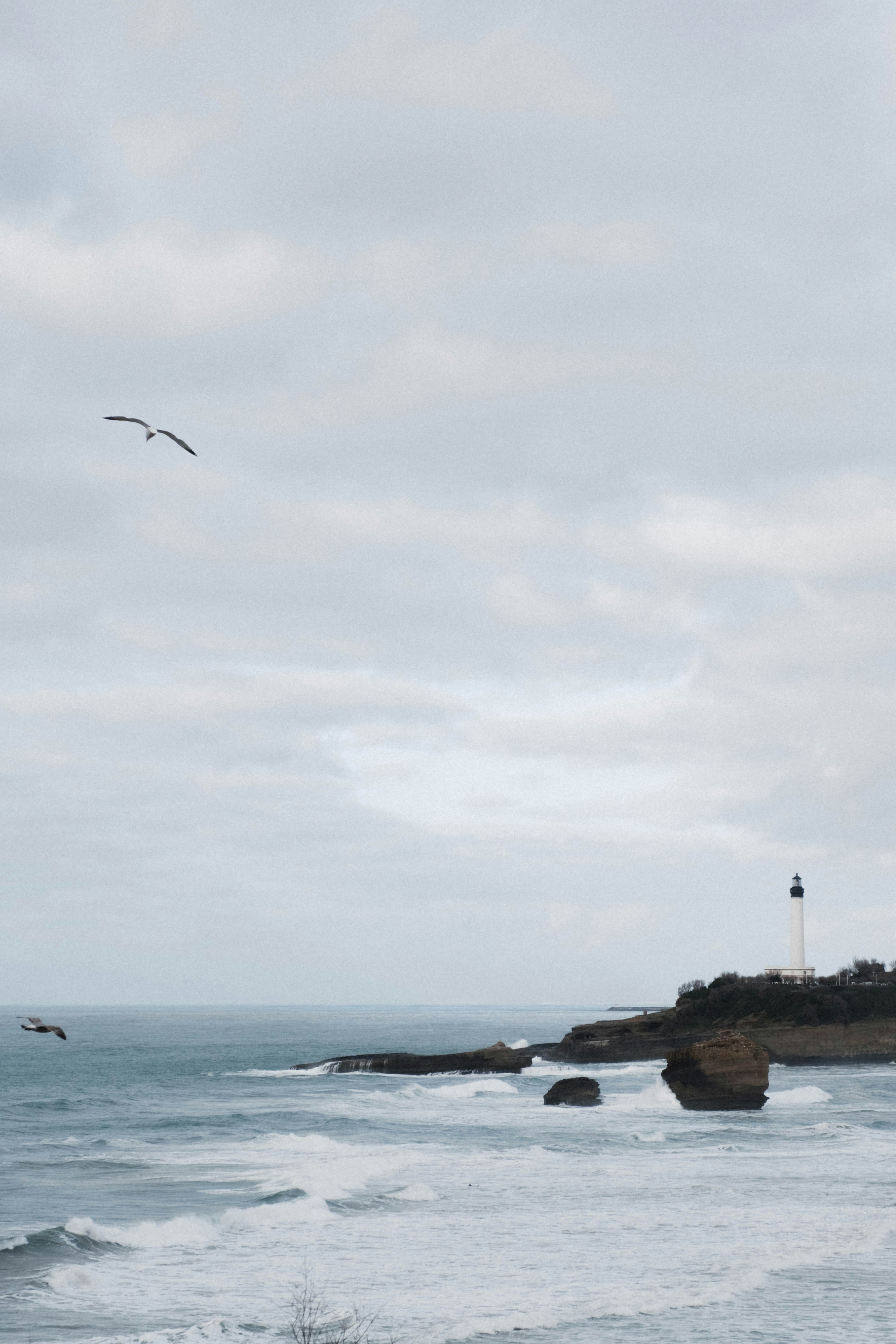 Photo by matreding