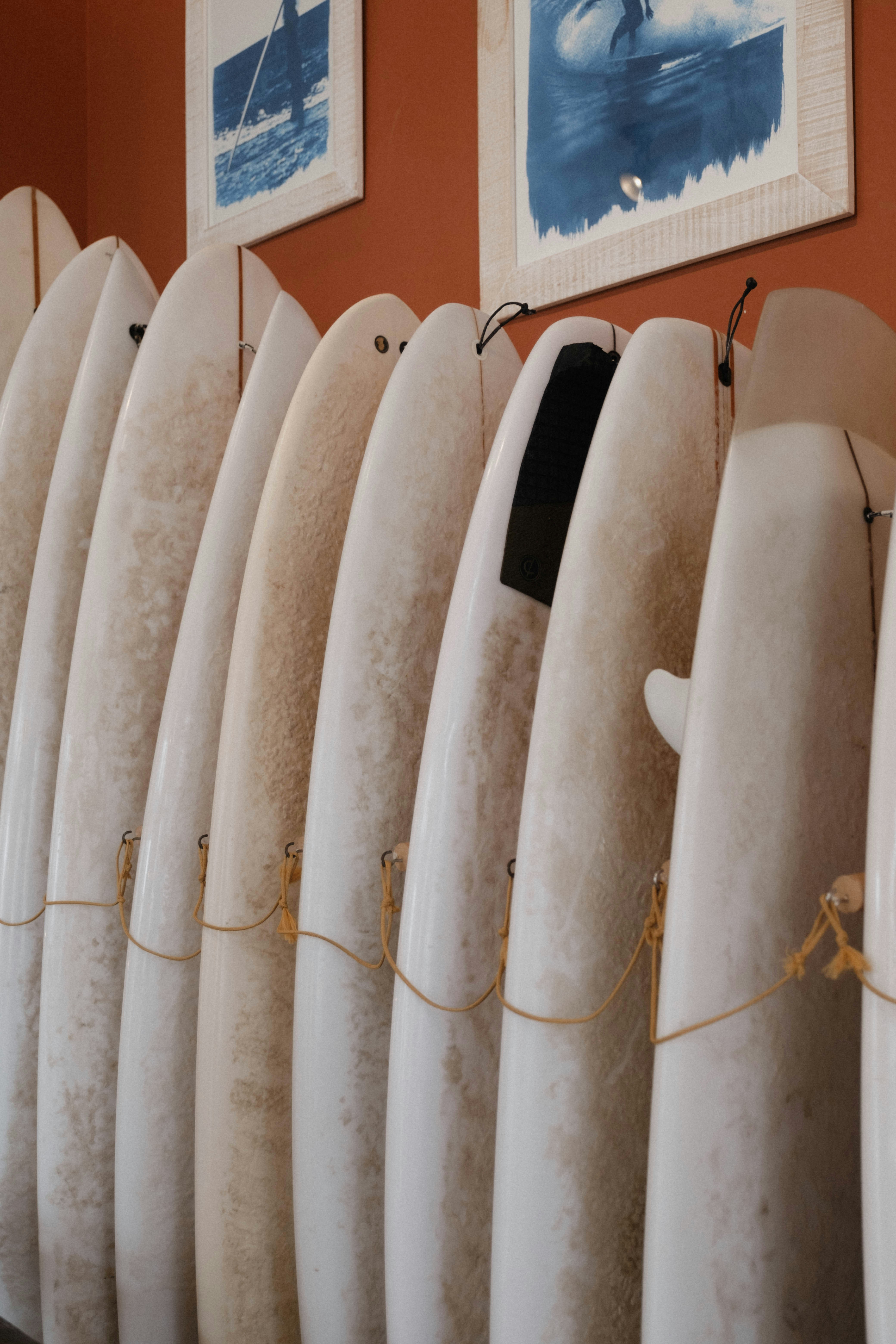 a bunch of surfboards lined up against a wall