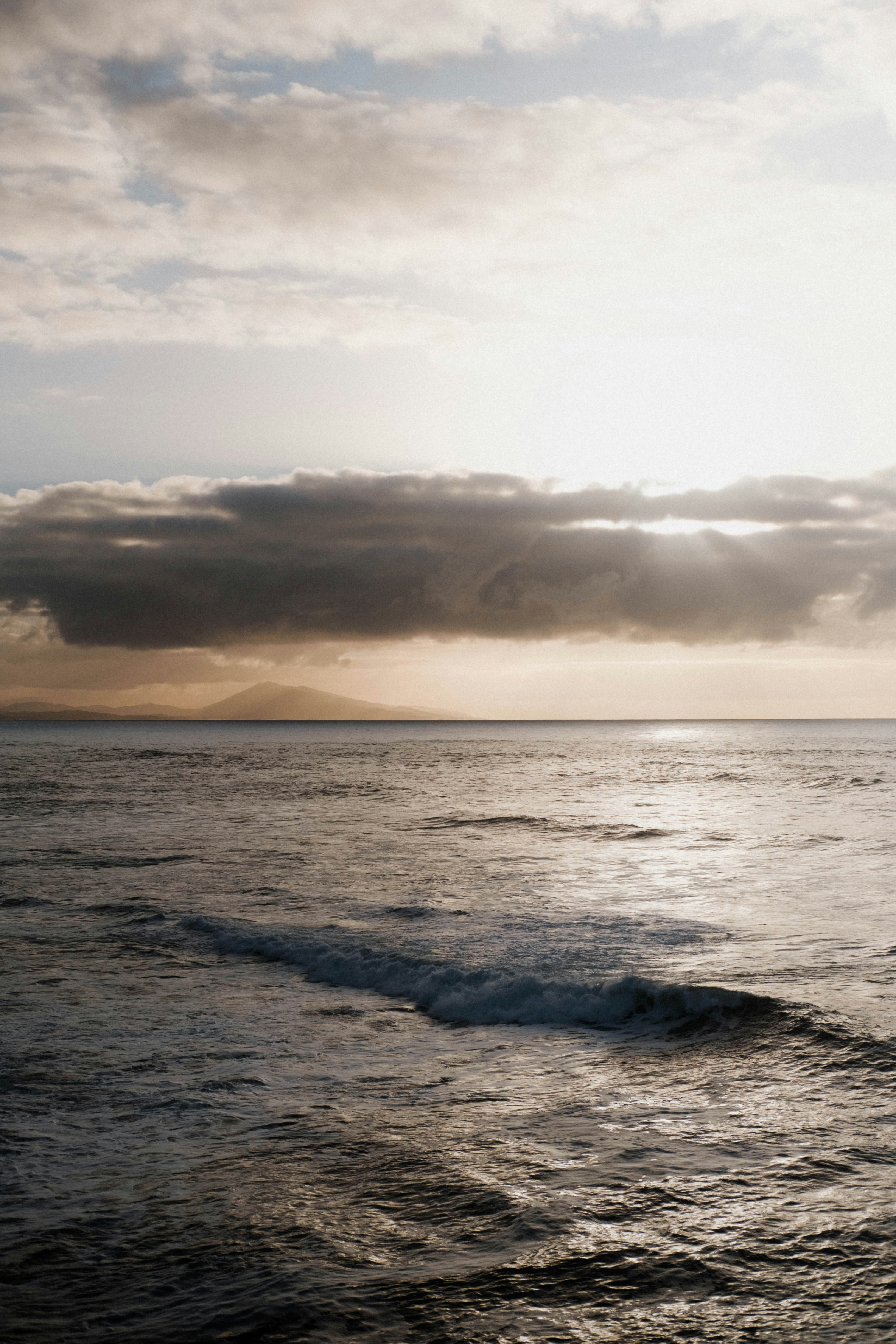 Photo by matreding