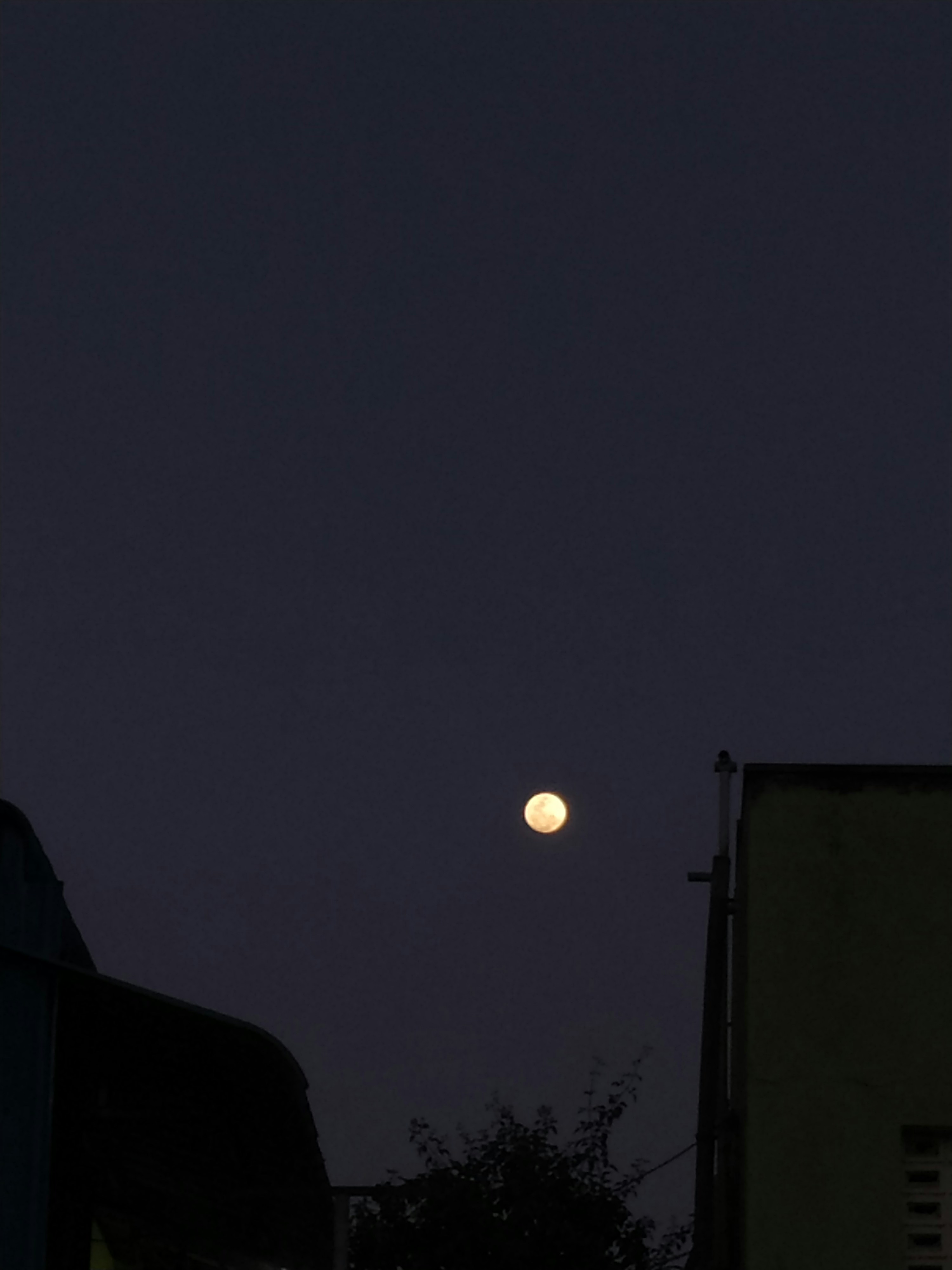 A full moon is seen in the night sky photo – Free Black Image on Unsplash