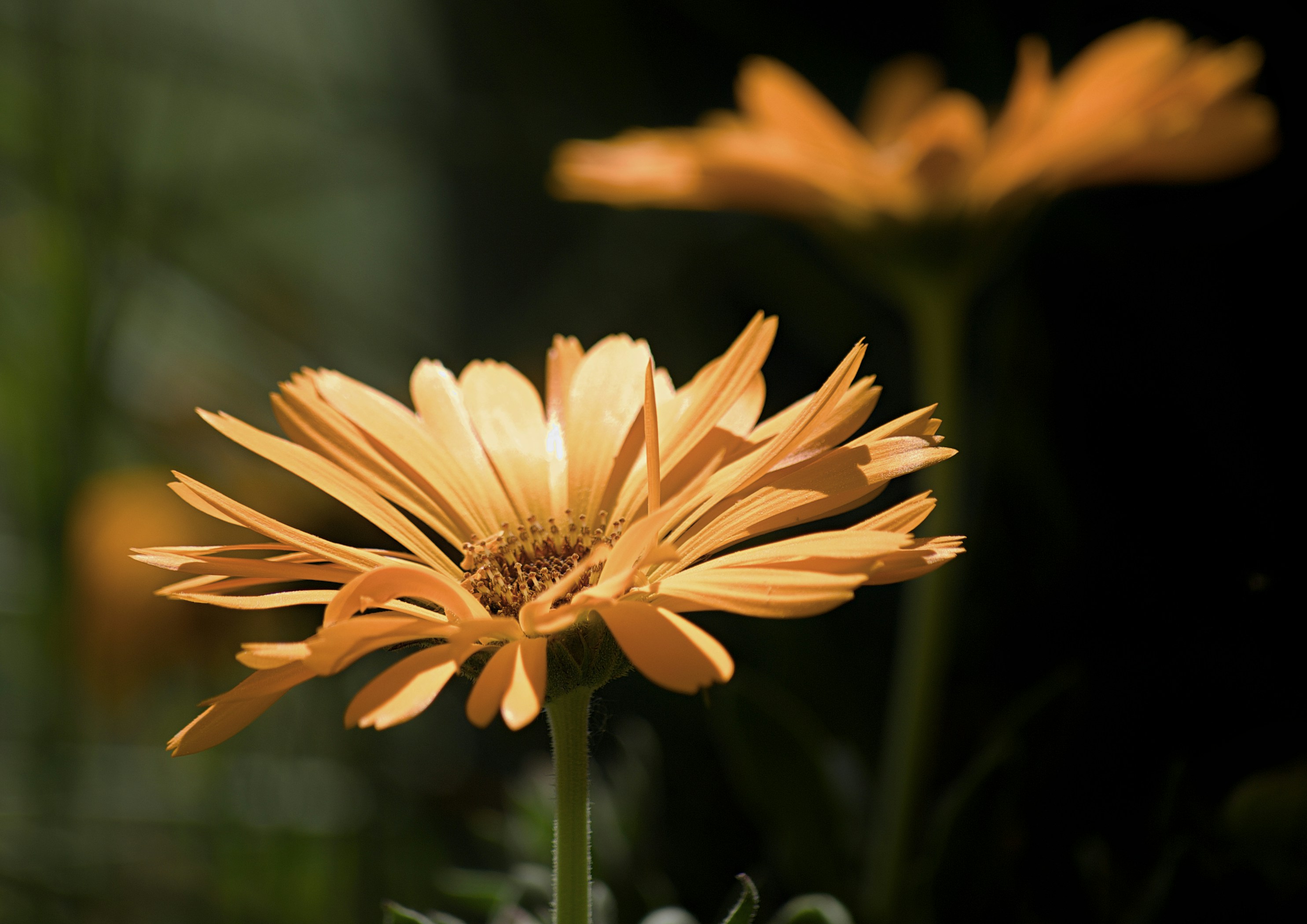 Photo by mariobeducci