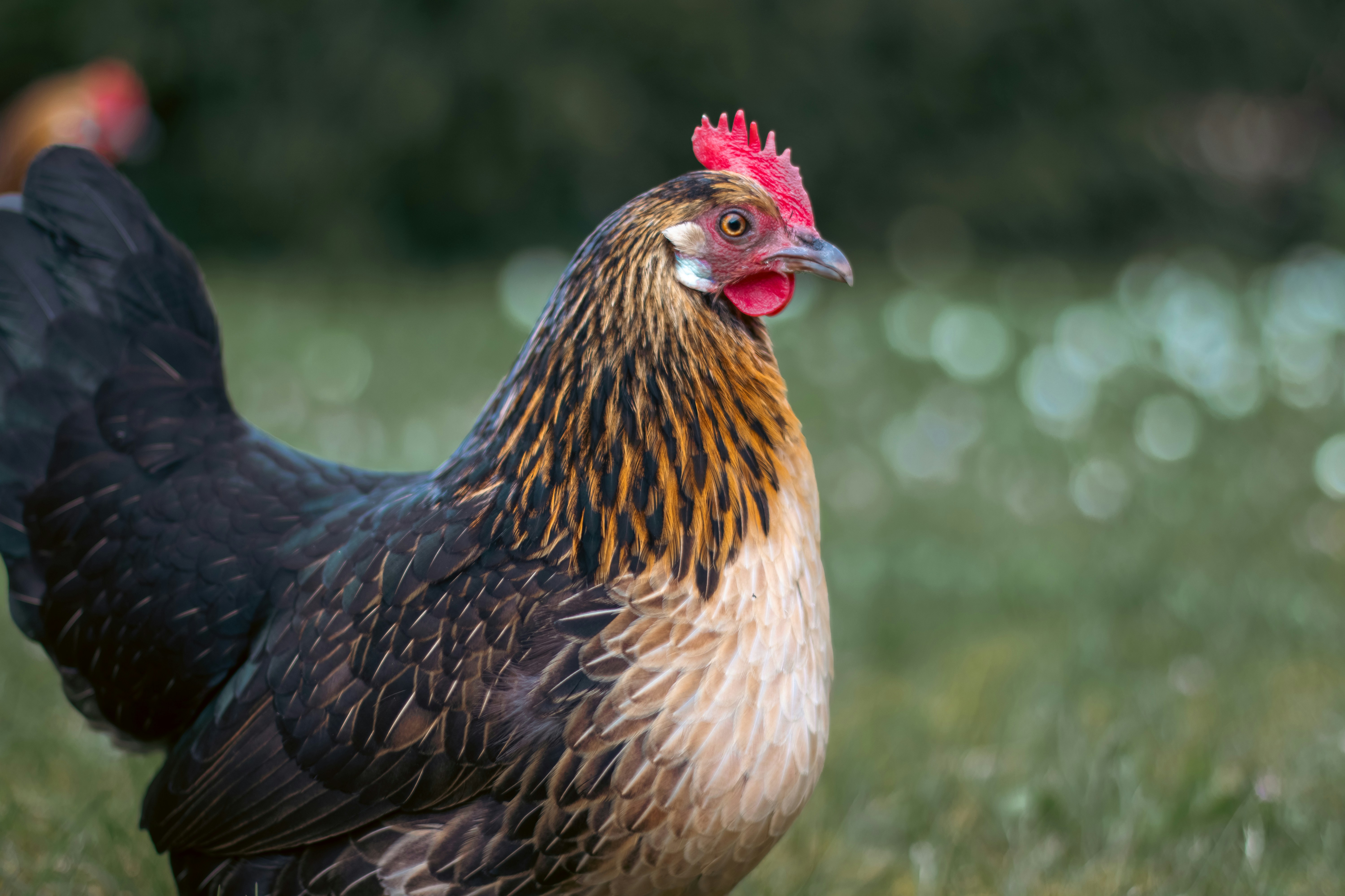 Photo by pizza_crust_slayer