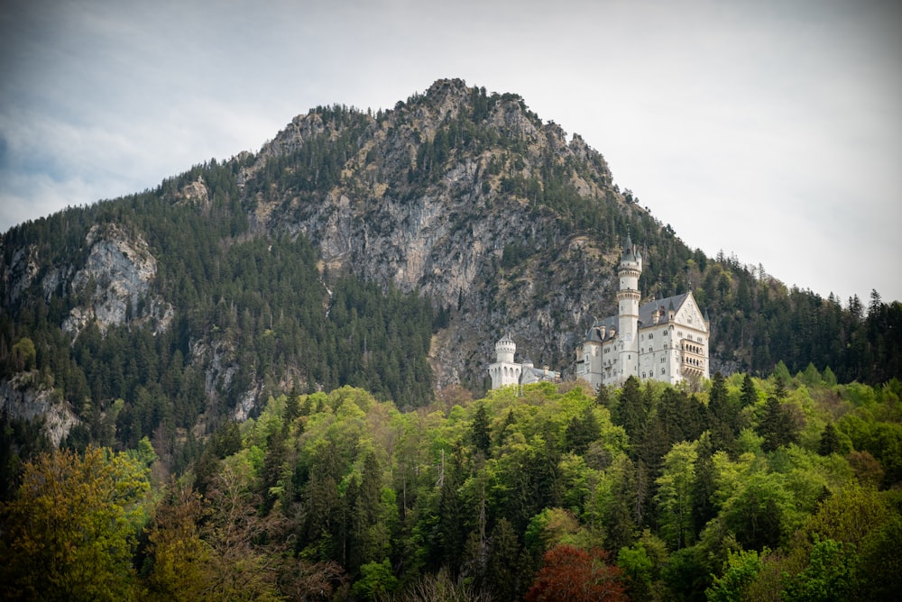 a castle on top of a mountain surrounded by trees