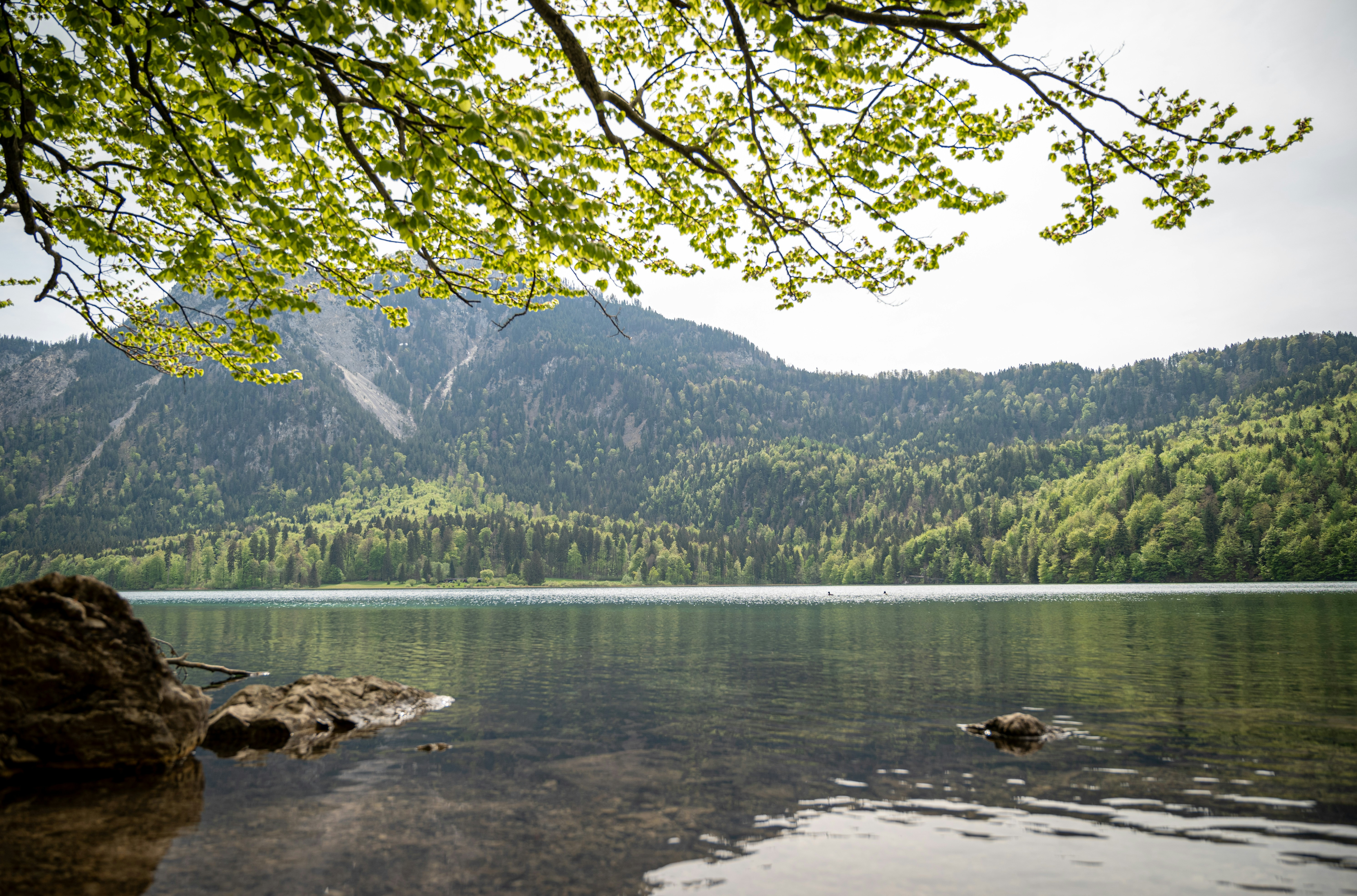 Photo by philzstift84