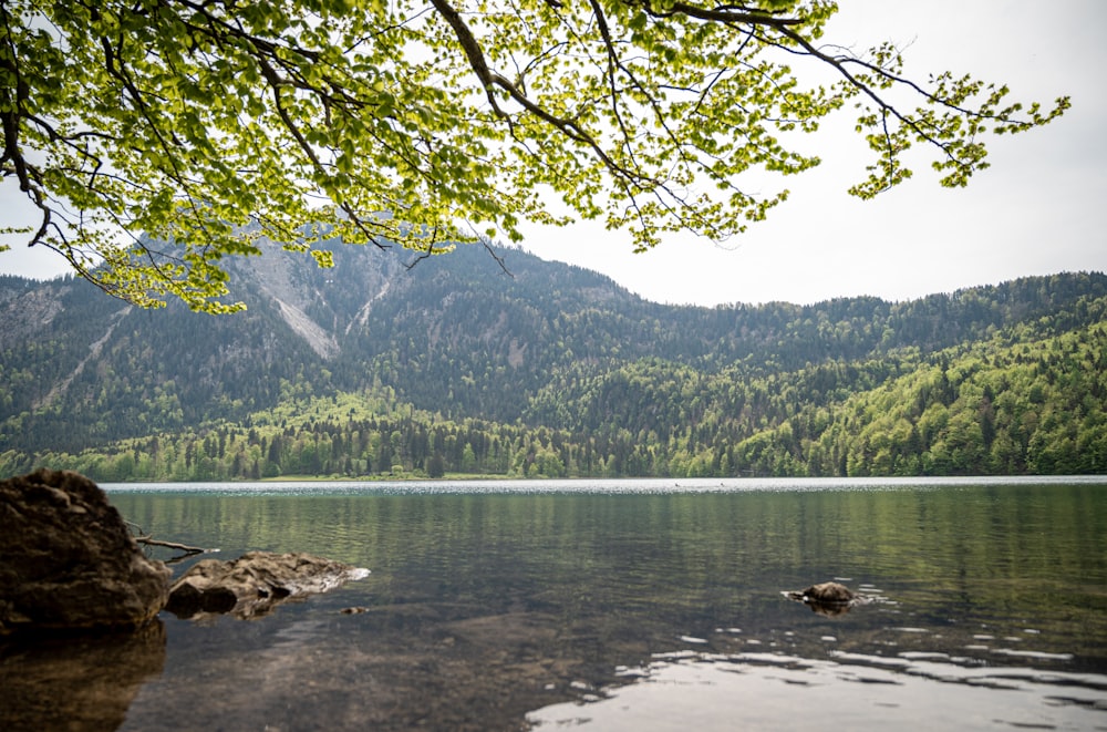 a lake surrounded by mountains and trees