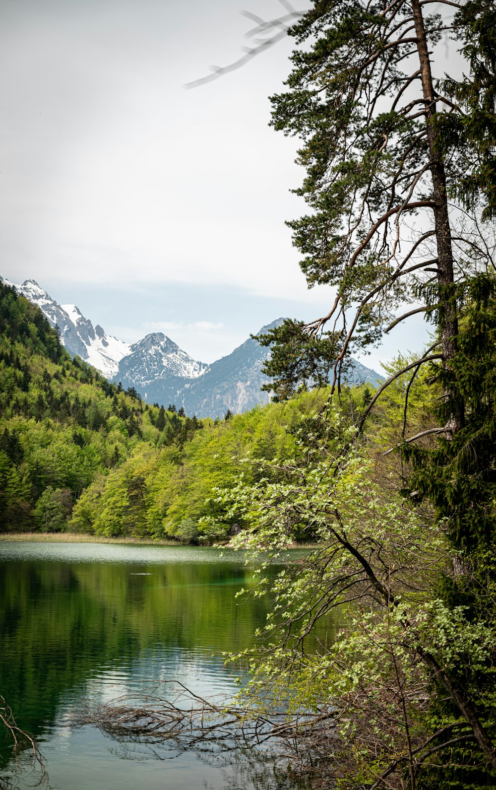 a body of water surrounded by trees and mountains