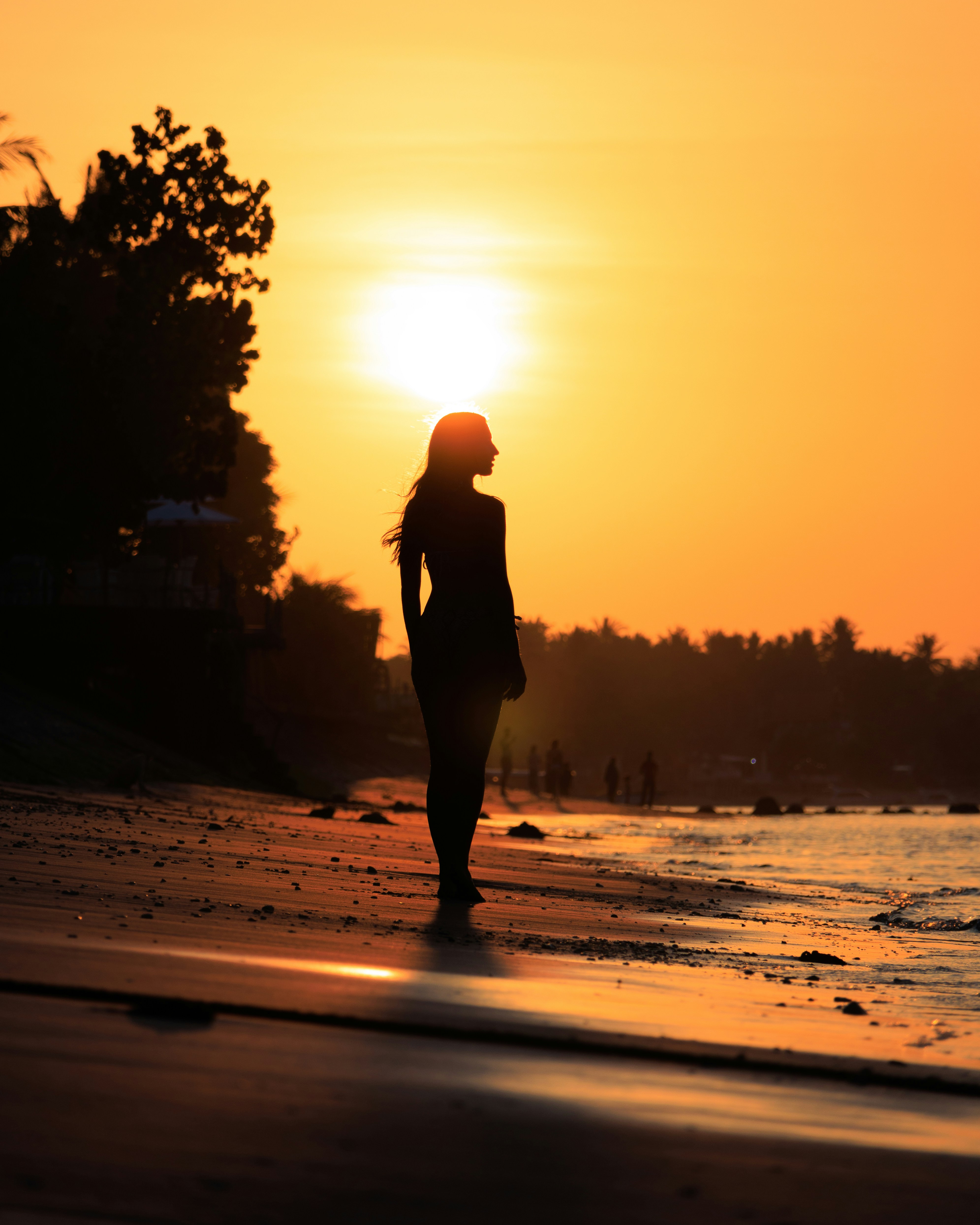 Photo by thomas_trnx