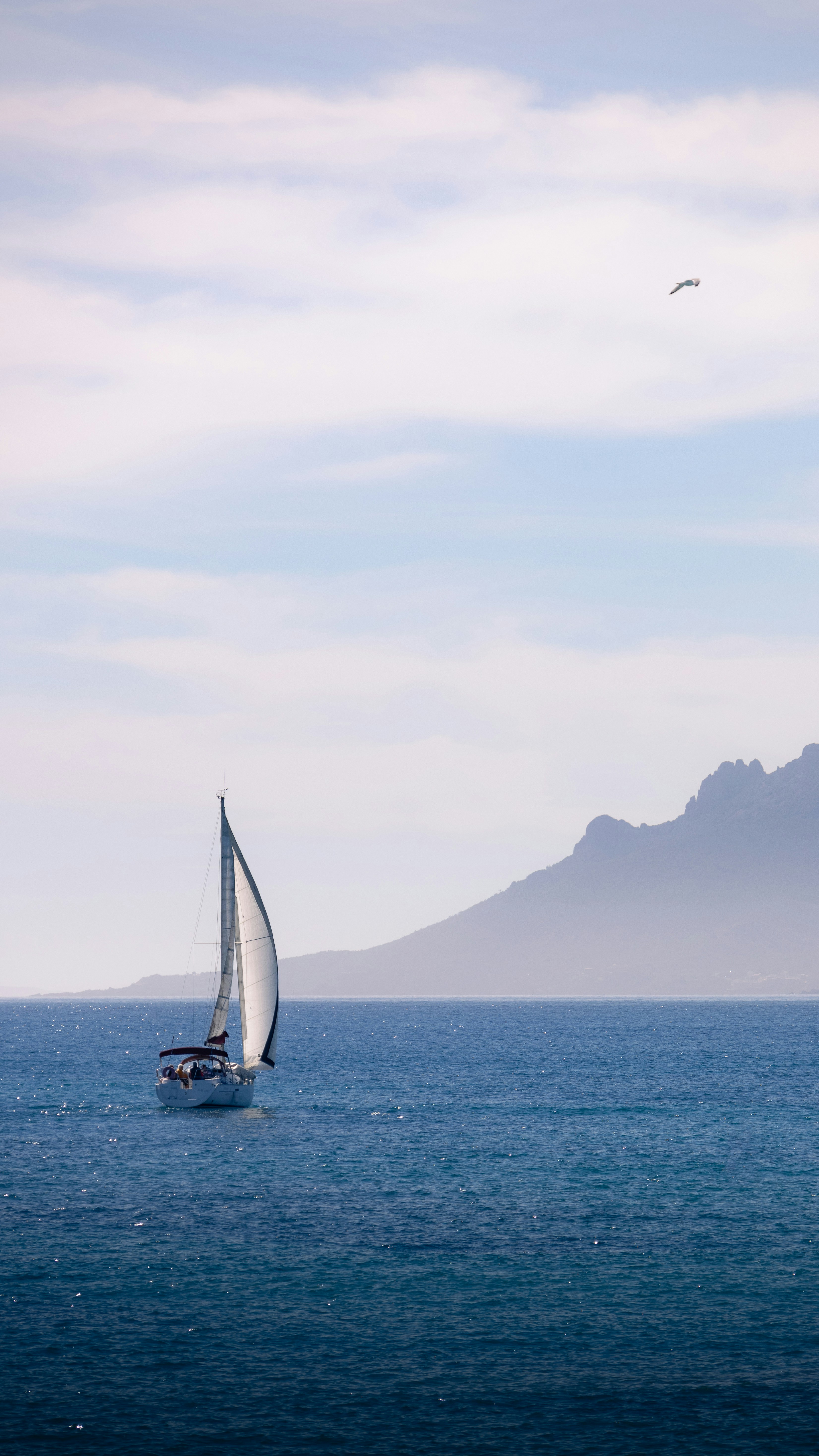 Photo by thomas_trnx