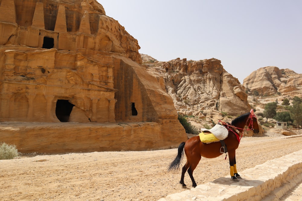 a person riding a horse on a dirt road