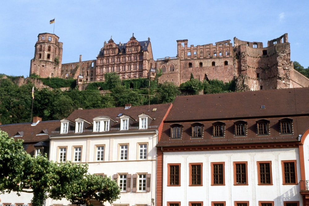 a castle on top of a hill with trees in front of it