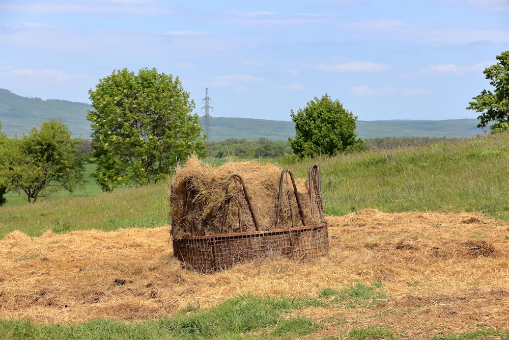 a pile of hay sitting on top of a dry grass field