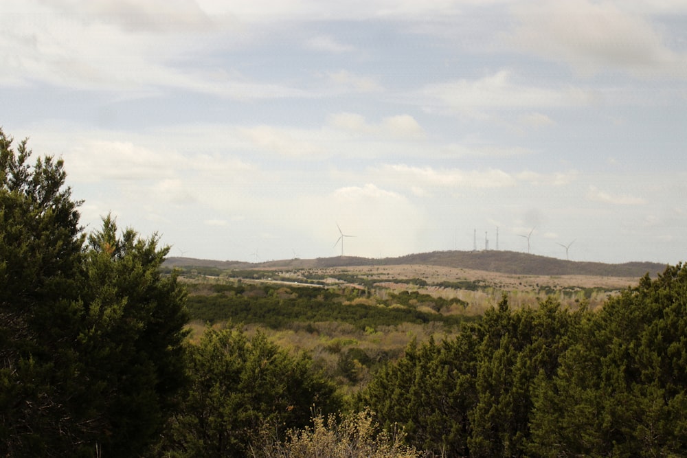 um campo com árvores e moinhos de vento ao longe
