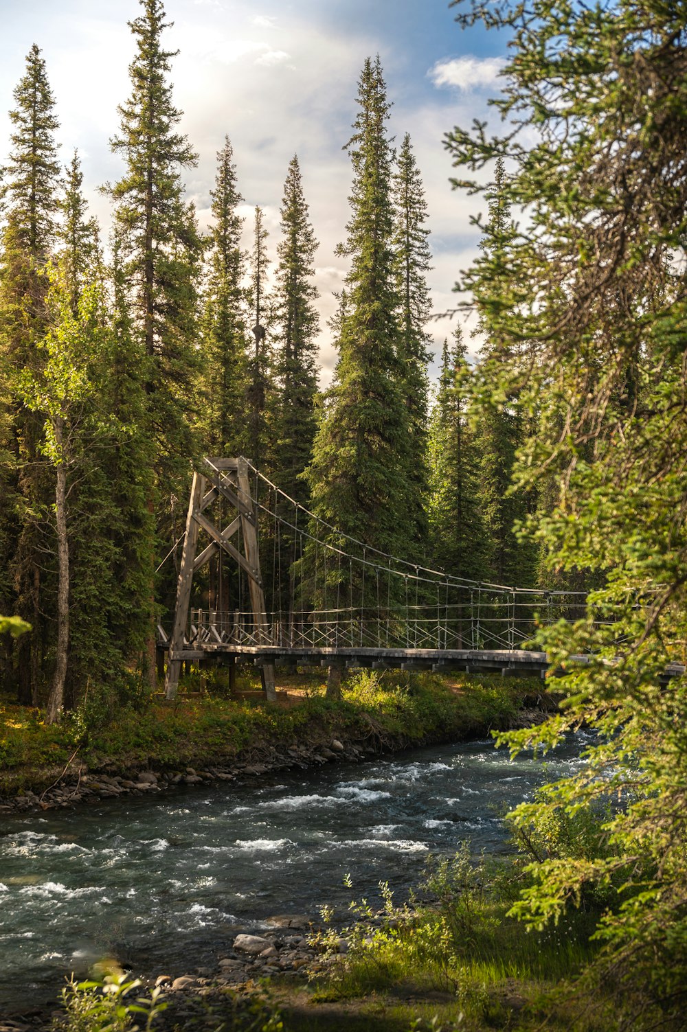 a bridge over a river surrounded by trees