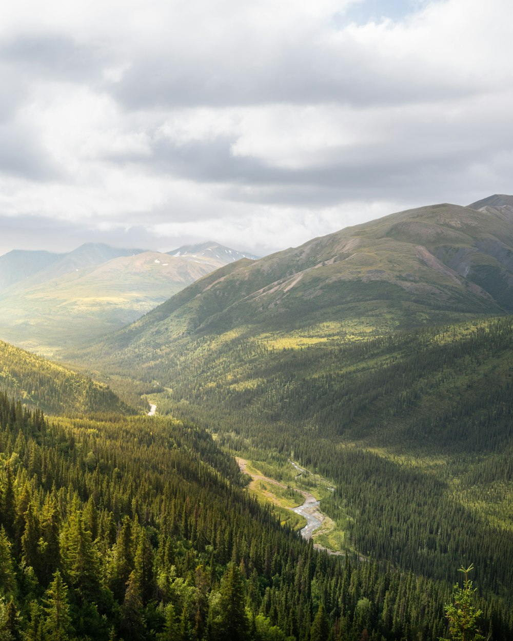 Una vista de un valle en medio de un bosque