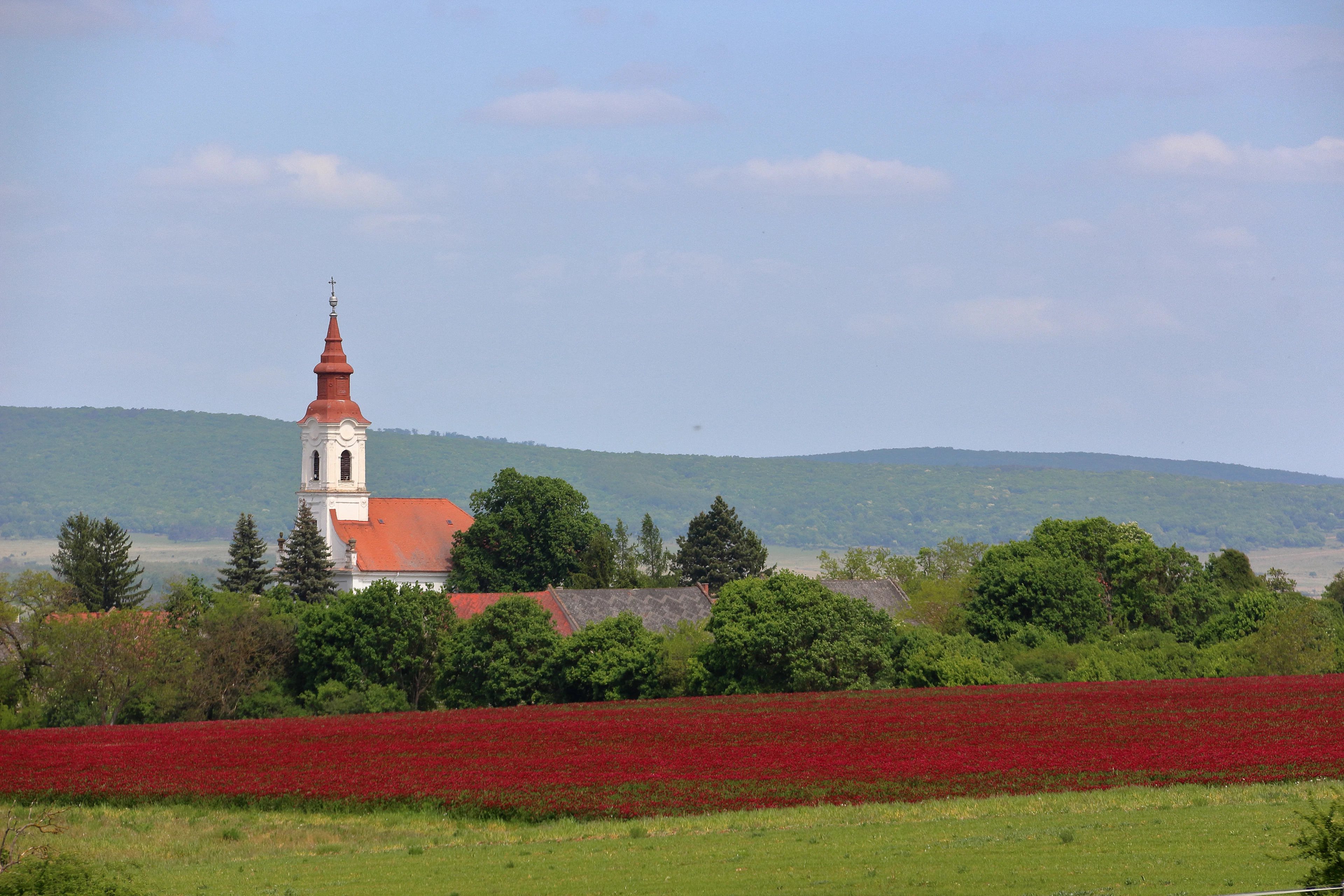 Foto aus Mazowiecki regionalny