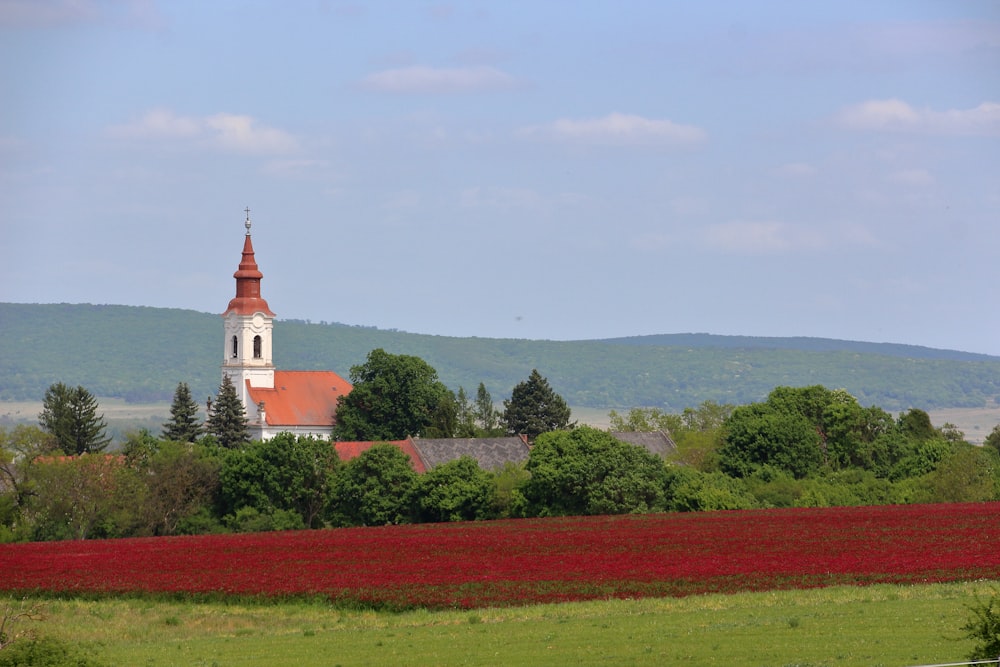 a church in the middle of a field of flowers