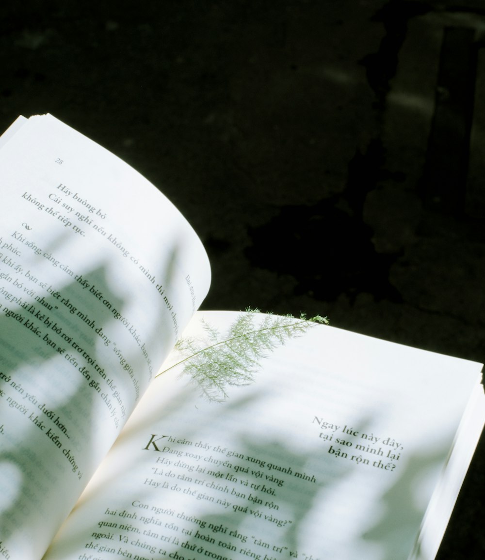 an open book sitting on top of a table