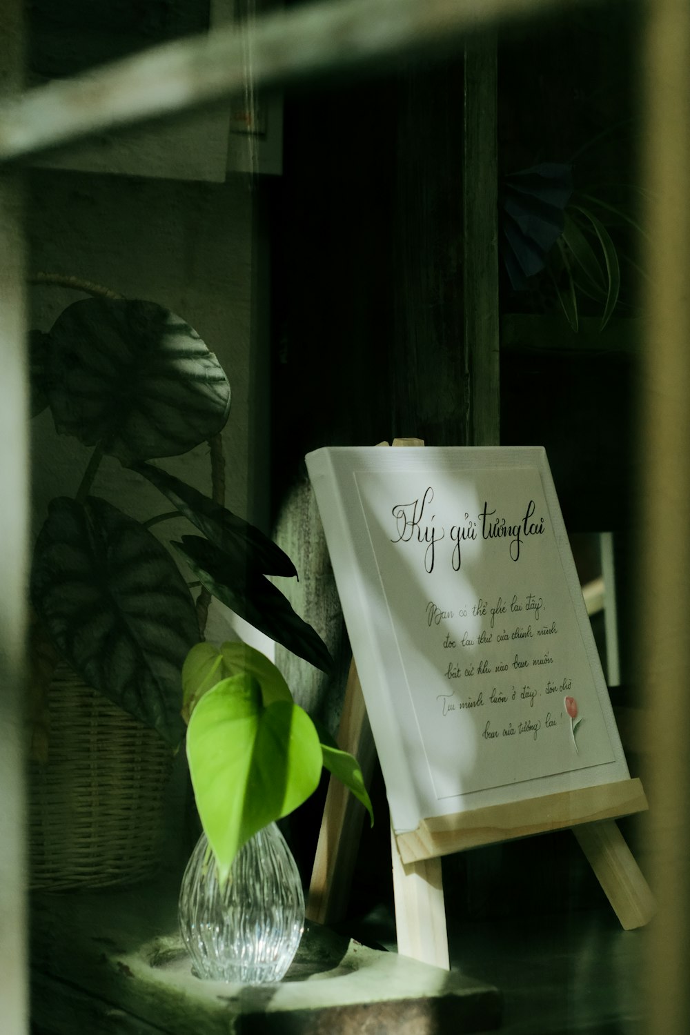 a sign sitting on top of a table next to a plant