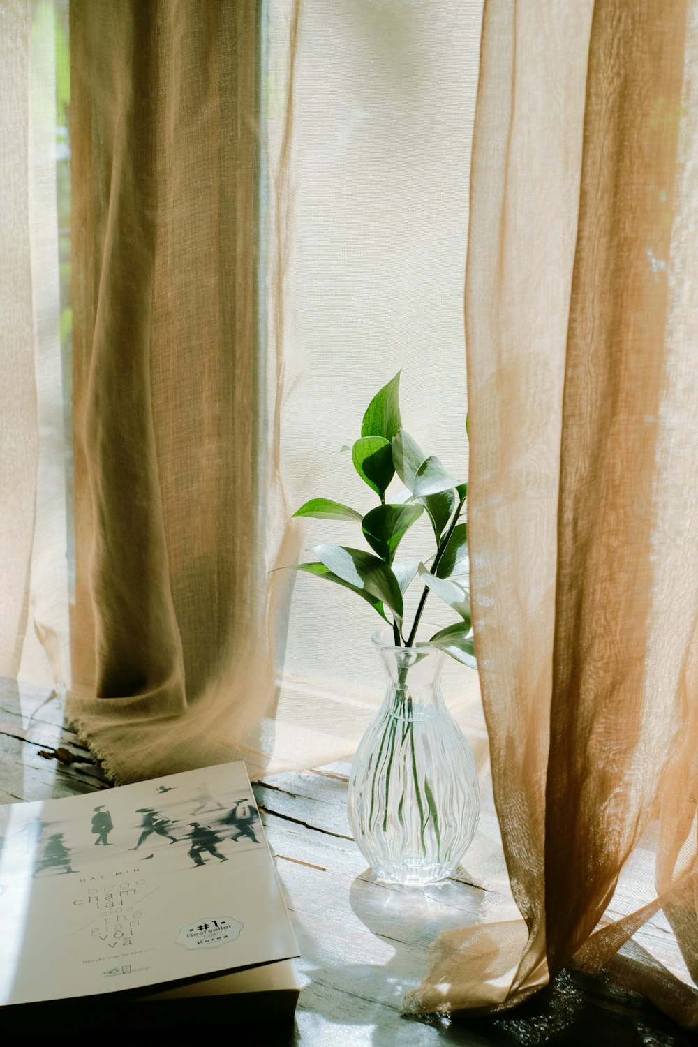 a vase with a plant in it sitting next to a window