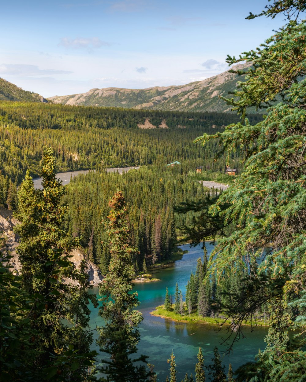 a lake surrounded by trees in the middle of a forest